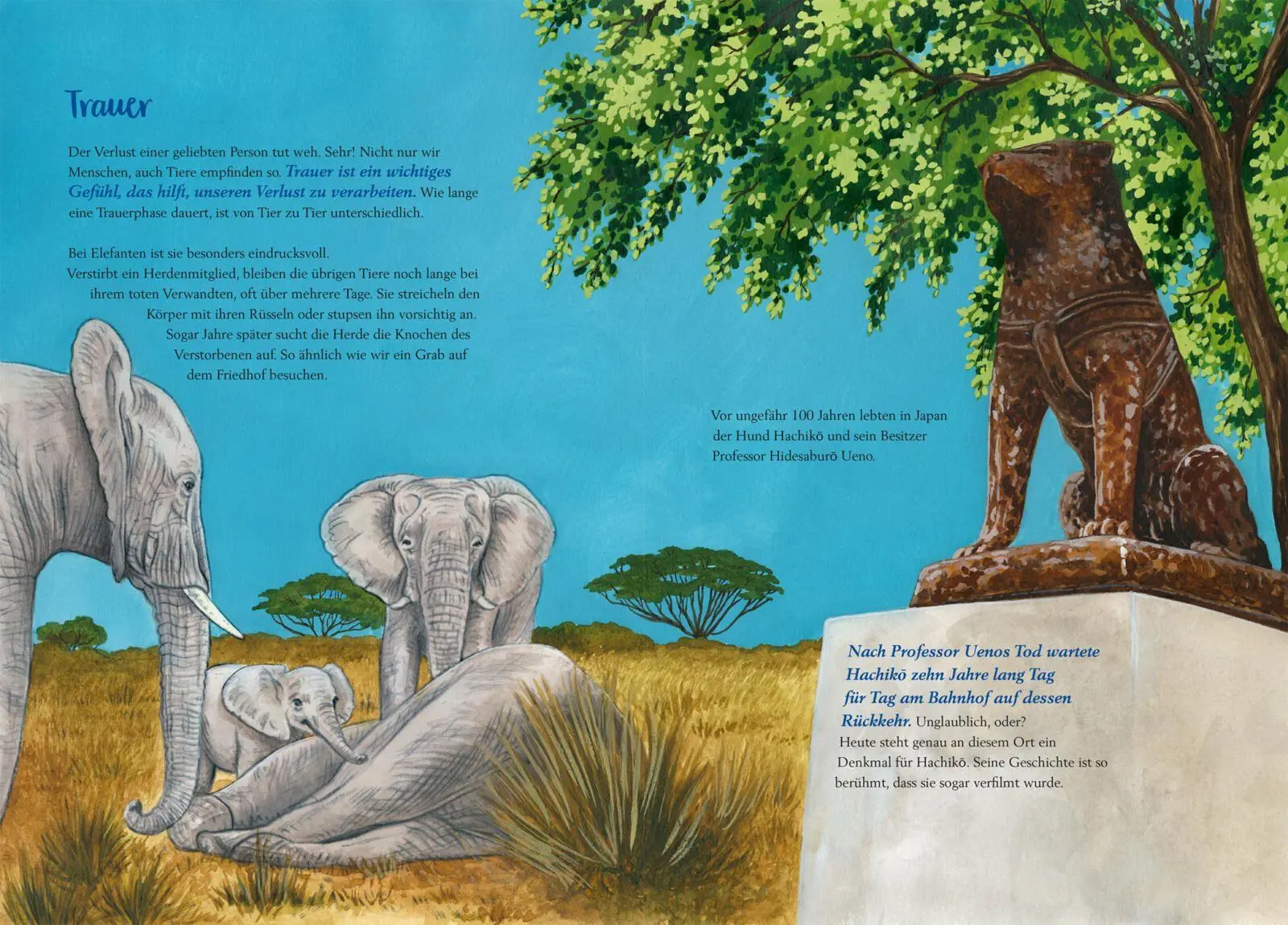 Bild: 9783551522580 | So fühlen die Tiere | Florian Fuchs | Buch | 32 S. | Deutsch | 2026