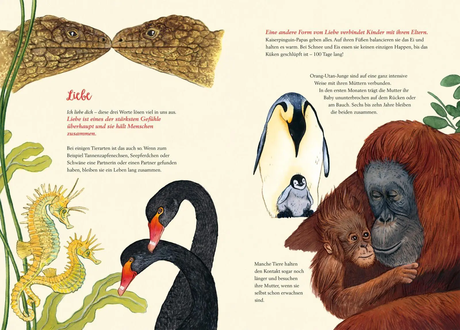 Bild: 9783551522580 | So fühlen die Tiere | Florian Fuchs | Buch | 32 S. | Deutsch | 2026