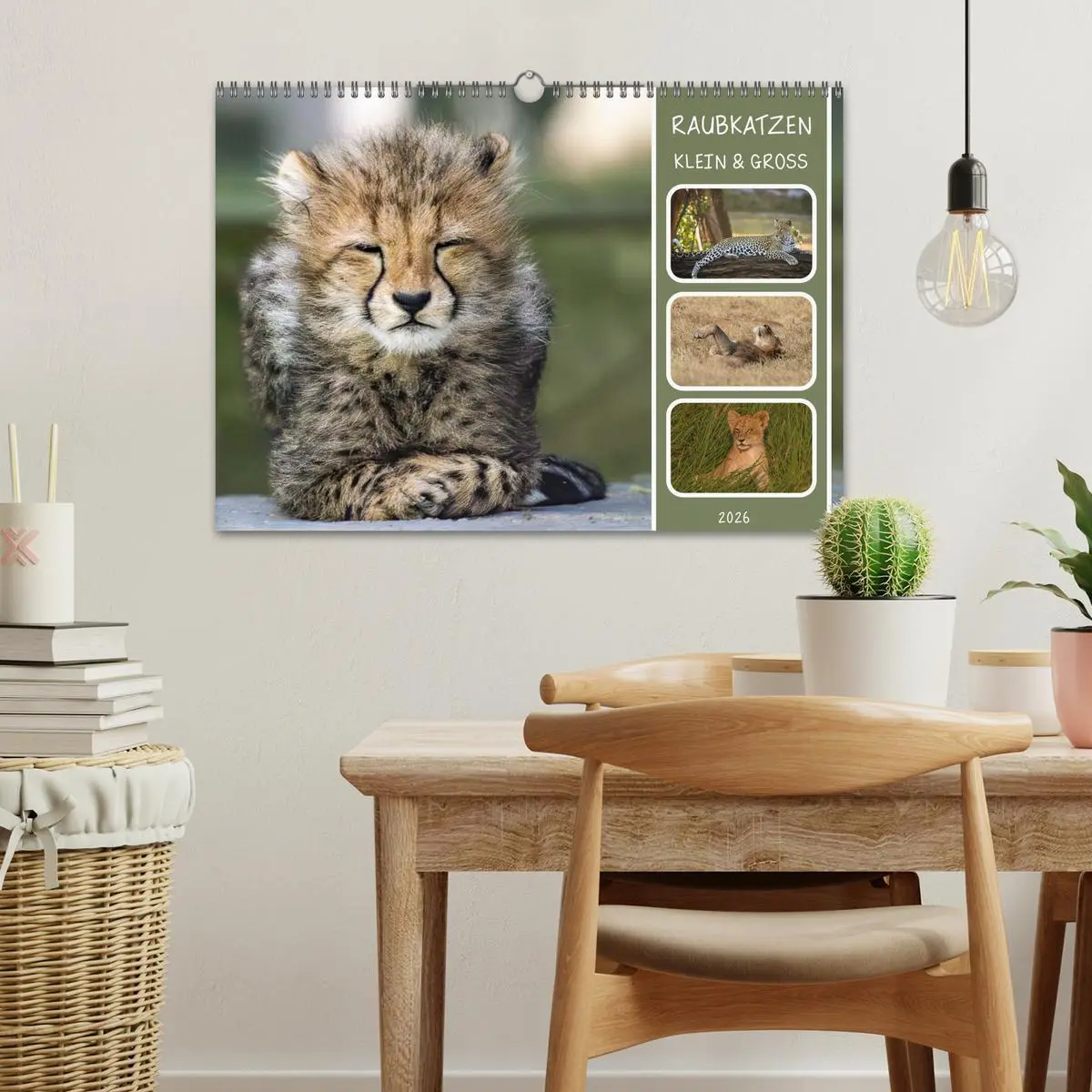 Bild: 9783457252680 | Raubkatzen - groß &amp; klein (Wandkalender 2026 DIN A3 quer), CALVENDO...