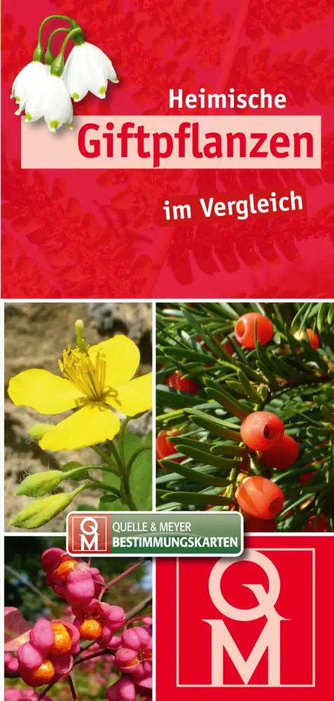 Heimische Giftpflanzen im Vergleich
