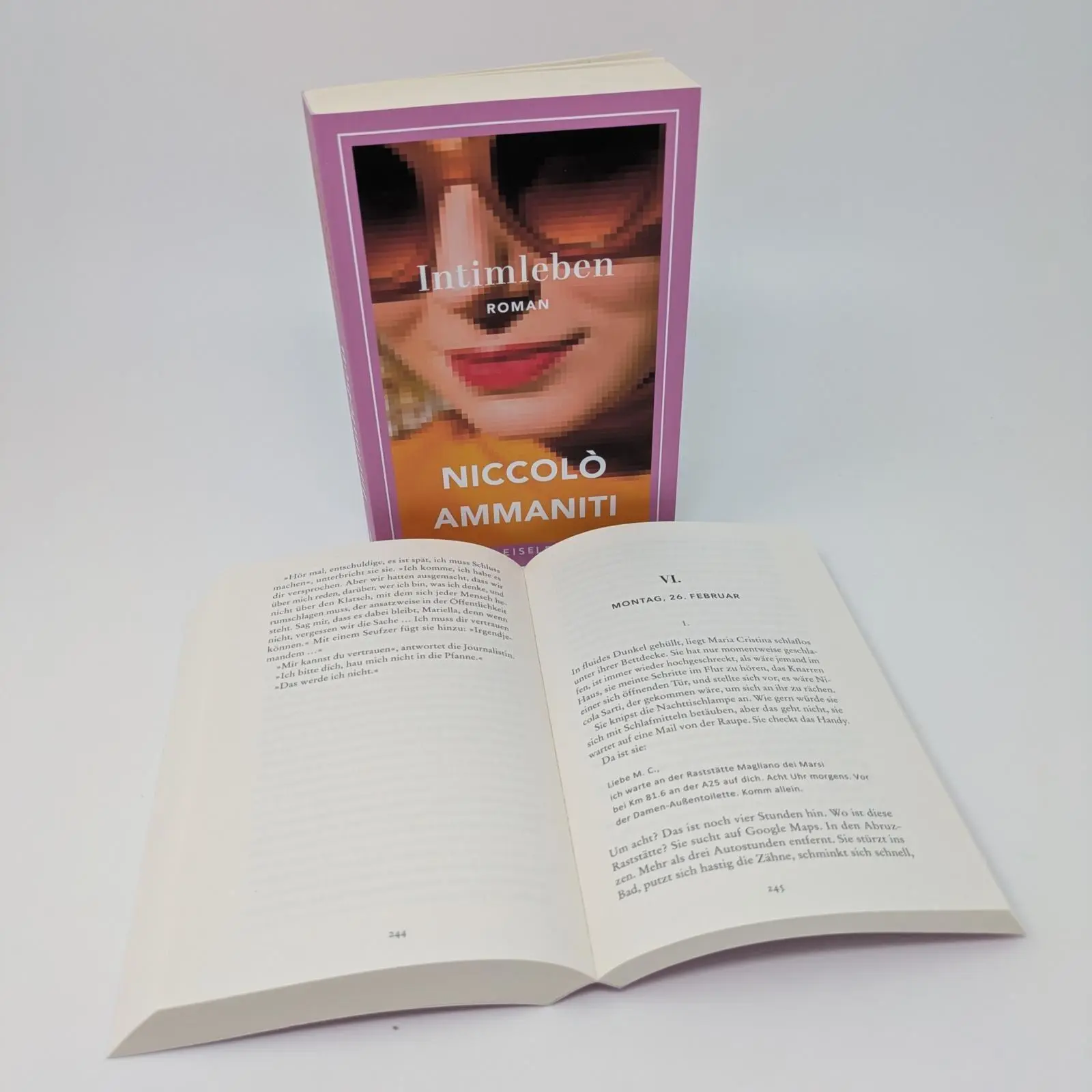 Bild: 9783961612680 | Intimleben | Niccolò Ammaniti | Taschenbuch | 368 S. | Deutsch | 2025