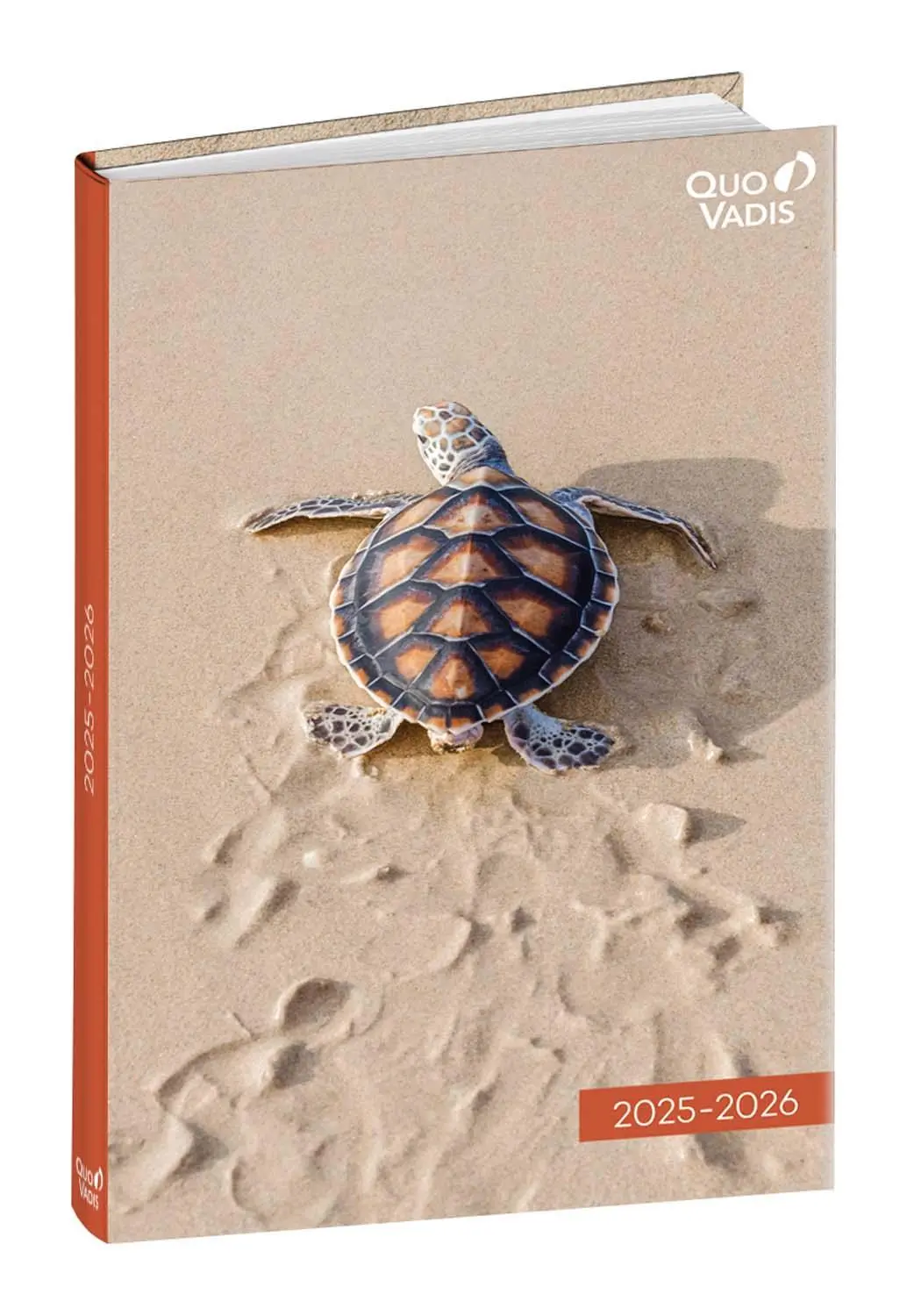 Cover: 3371010532780 | Schülerkalender FORUM Tiere Schildk 2025/2026 | Schülerkalender | Buch