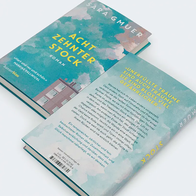 Bild: 9783446282780 | Achtzehnter Stock | Roman | Sara Gmuer | Buch | 224 S. | Deutsch