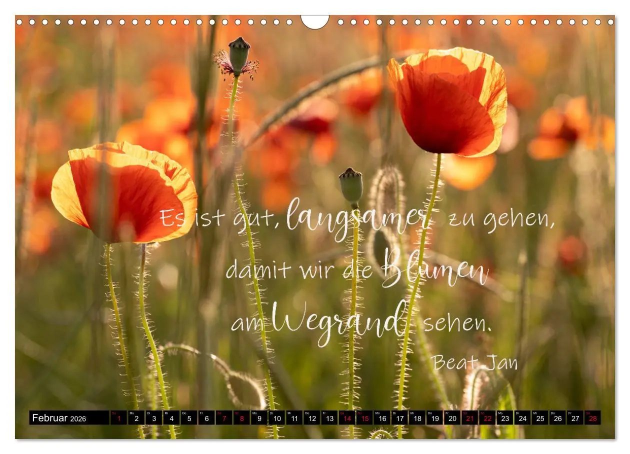 Bild: 9783457622780 | Bilder und Texte für die Seele (Wandkalender 2026 DIN A3 quer),...