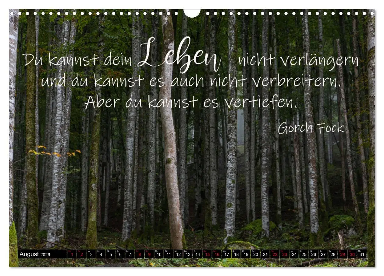 Bild: 9783457622780 | Bilder und Texte für die Seele (Wandkalender 2026 DIN A3 quer),...