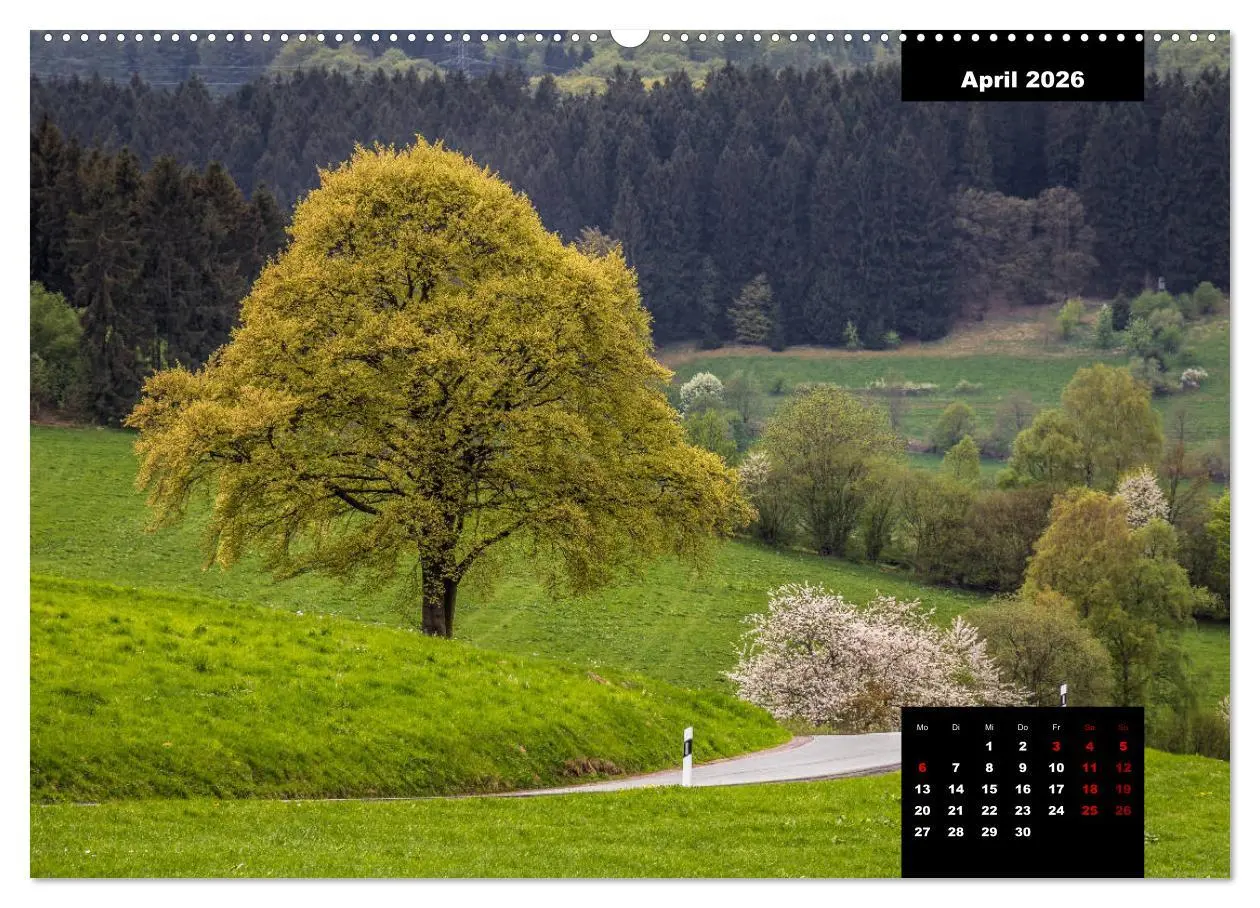 Bild: 9783457932780 | Malerisches Sauerland (Wandkalender 2026 DIN A2 quer), CALVENDO...