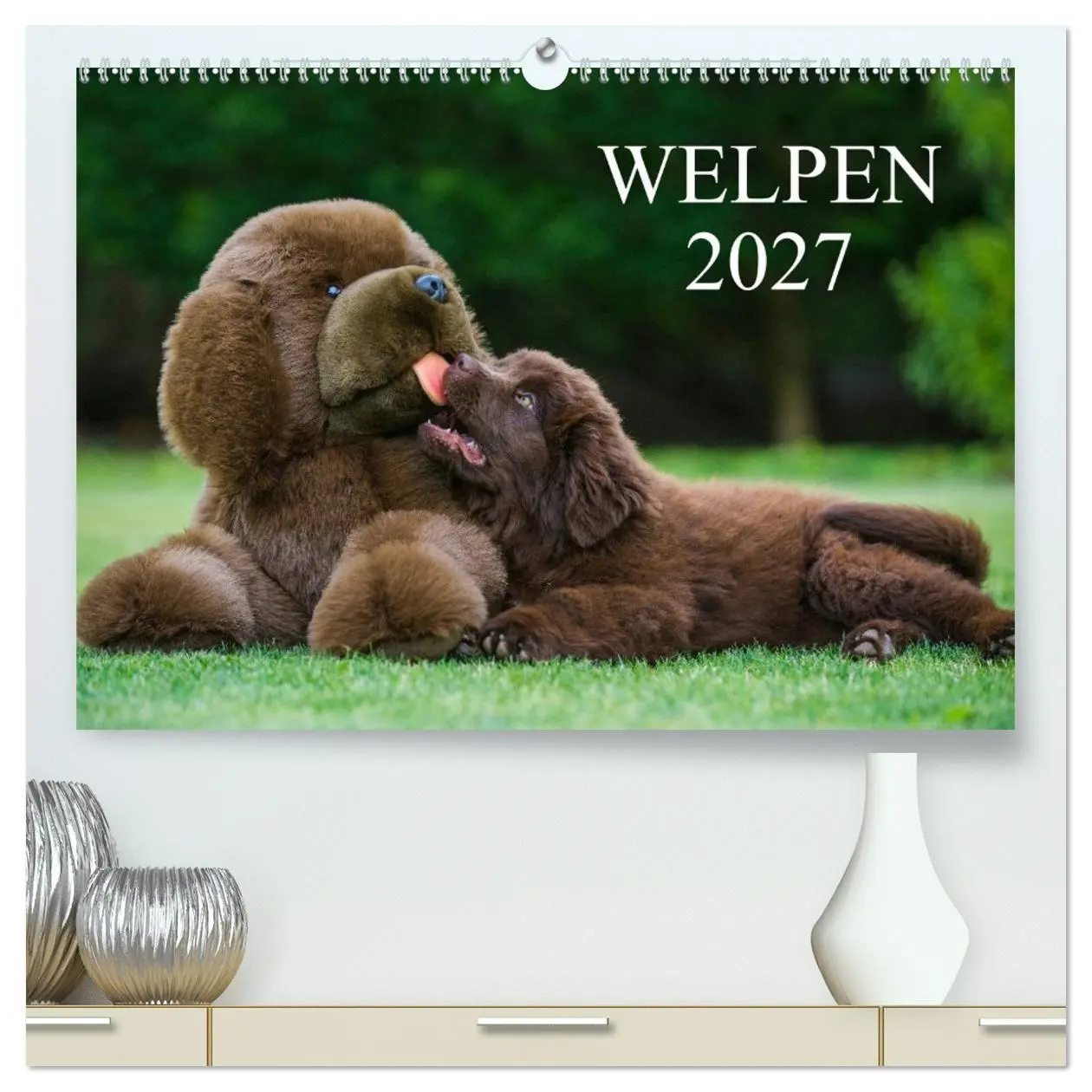 Cover: 9783594172780 | Welpen 2027 (hochwertiger Premium Wandkalender 2027 DIN A2 quer),...
