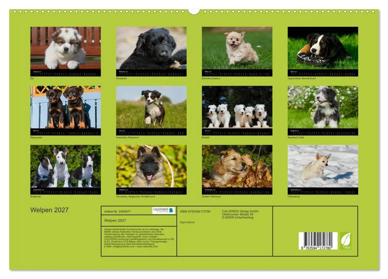 Bild: 9783594172780 | Welpen 2027 (hochwertiger Premium Wandkalender 2027 DIN A2 quer),...