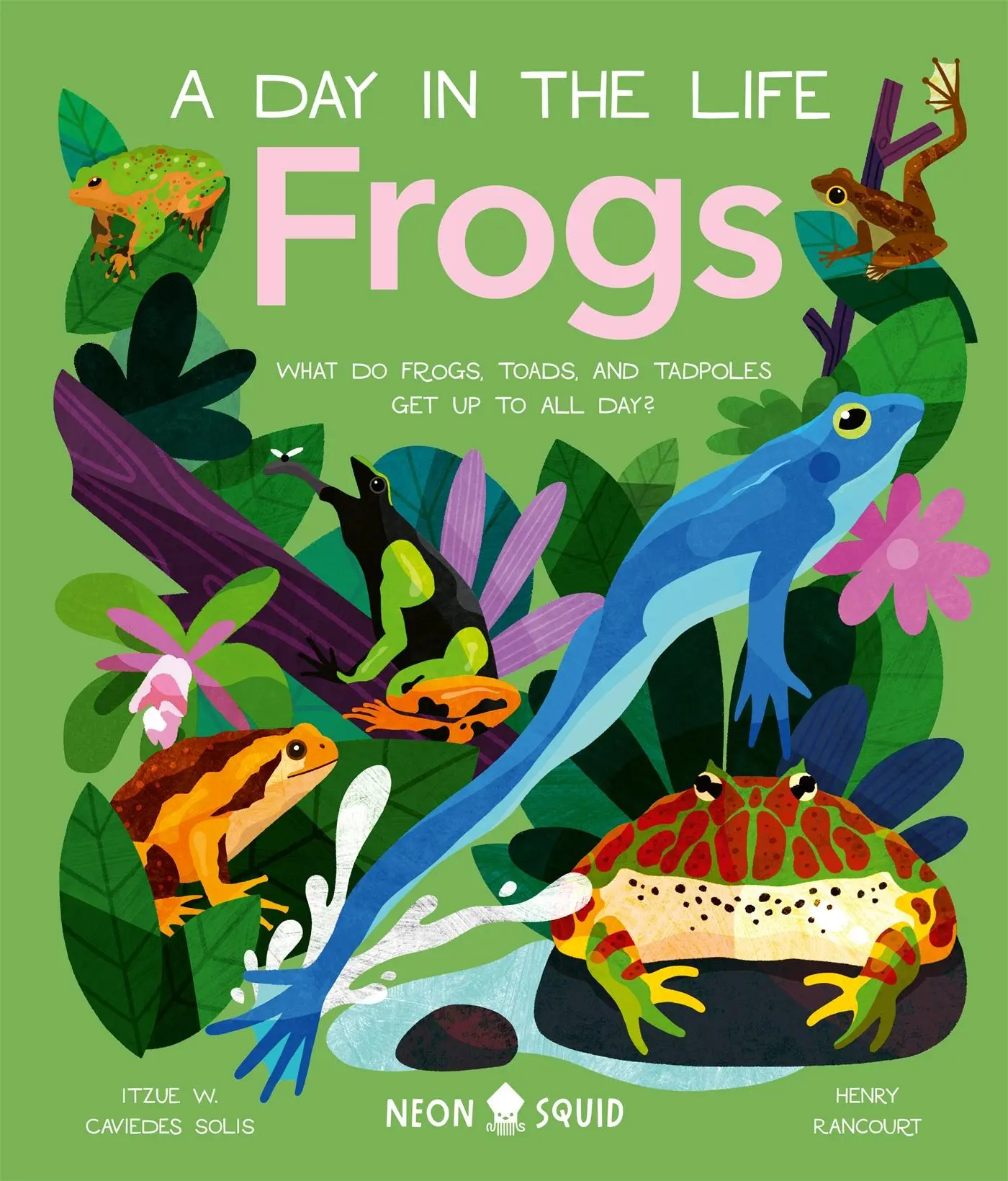 Cover: 9781838992880 | Frogs (A Day in the Life) | Itzue W. Caviedes-Solis (u. a.) | Buch