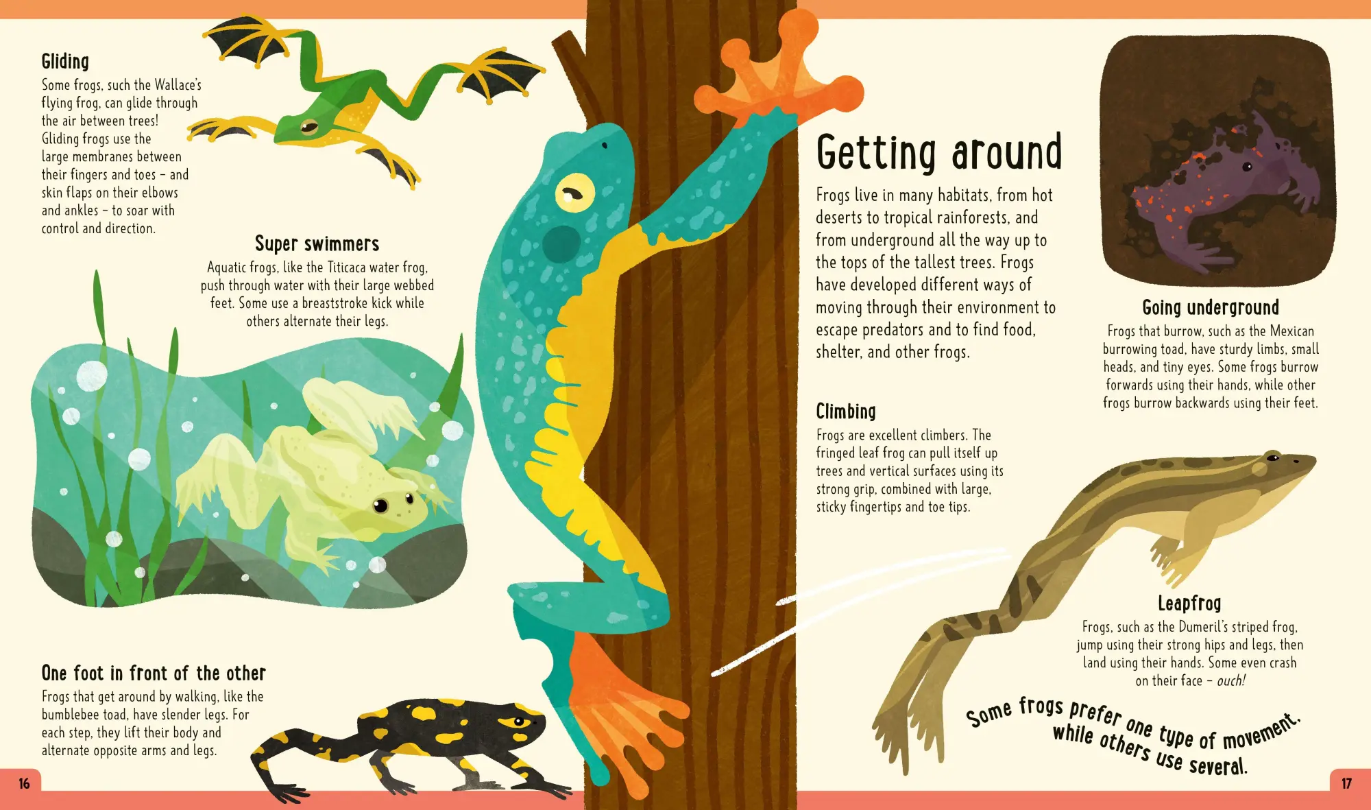 Bild: 9781838992880 | Frogs (A Day in the Life) | Itzue W. Caviedes-Solis (u. a.) | Buch
