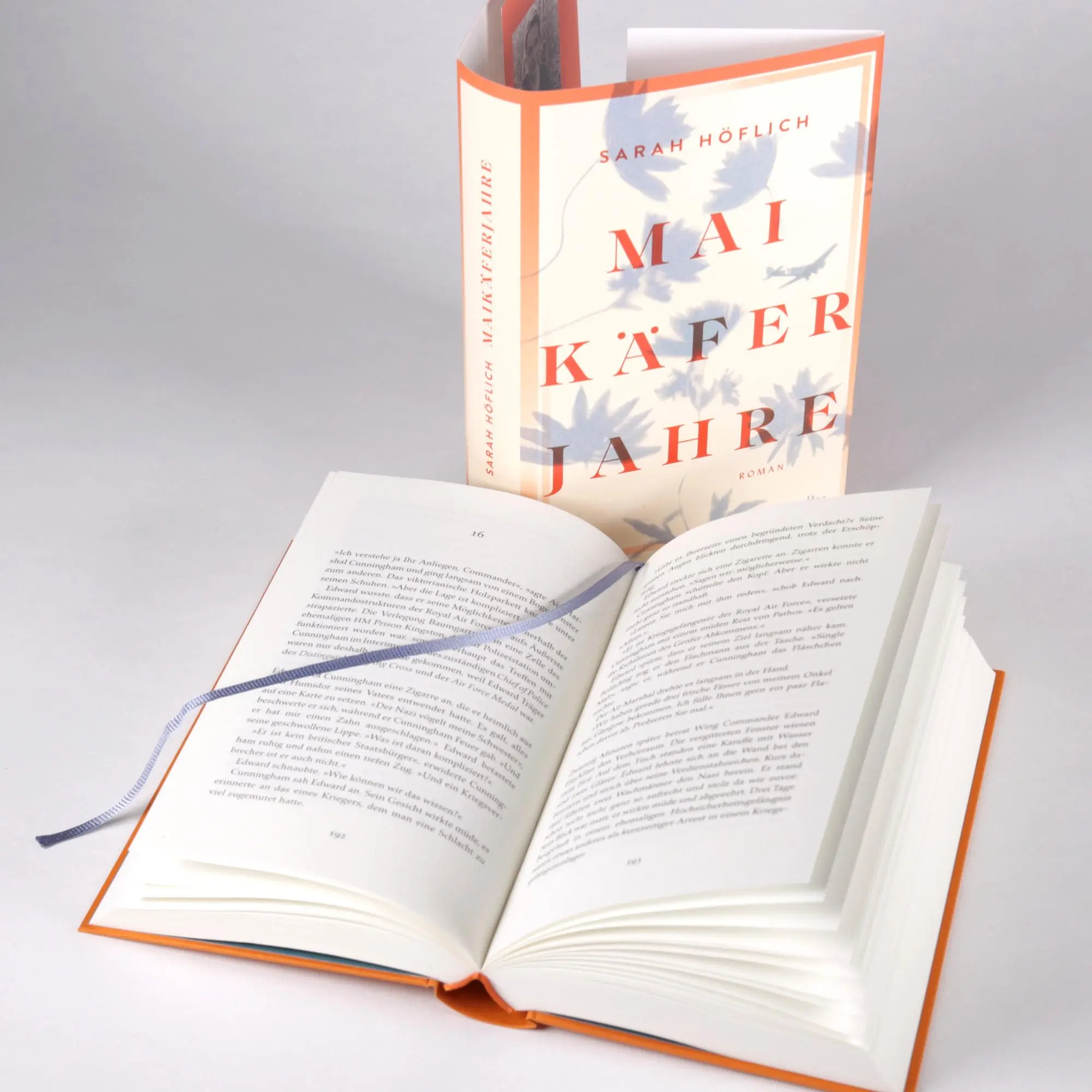 Bild: 9783423262880 | Maikäferjahre | Sarah Höflich | Buch | 464 S. | Deutsch | 2025