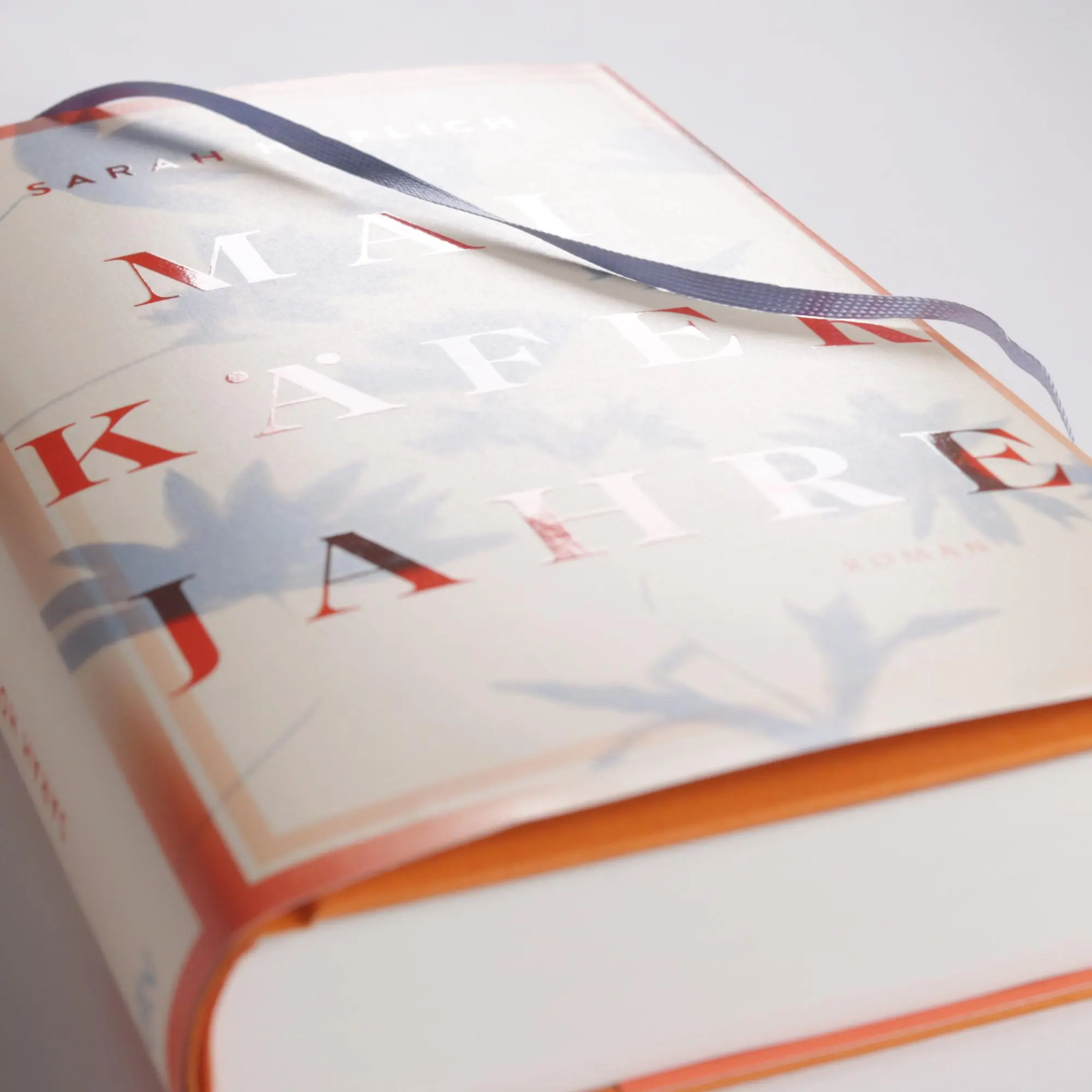 Bild: 9783423262880 | Maikäferjahre | Sarah Höflich | Buch | 464 S. | Deutsch | 2025