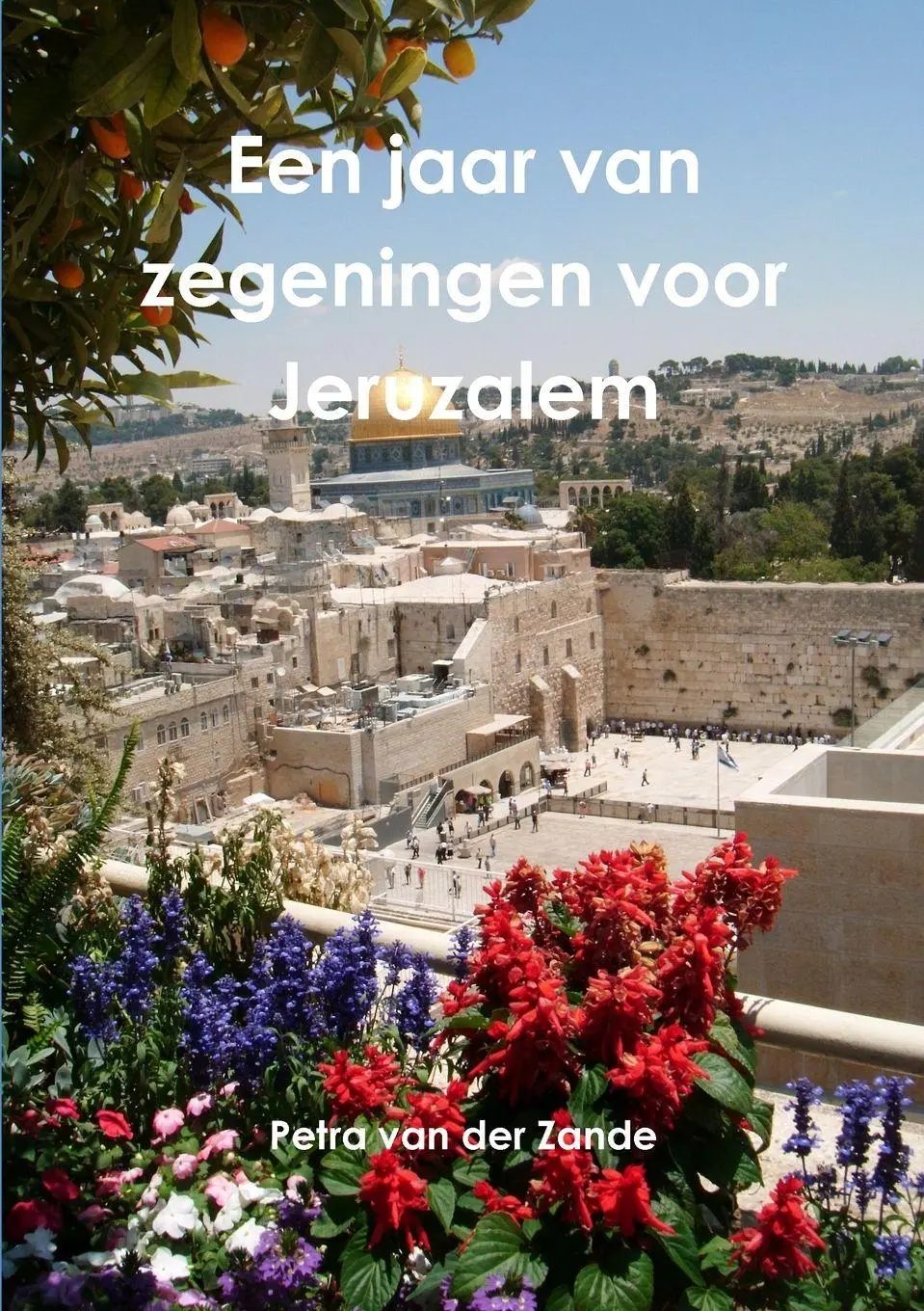 Cover: 9789657542880 | Een jaar van zegeningen voor Jeruzalem | Petra van der Zande | Buch