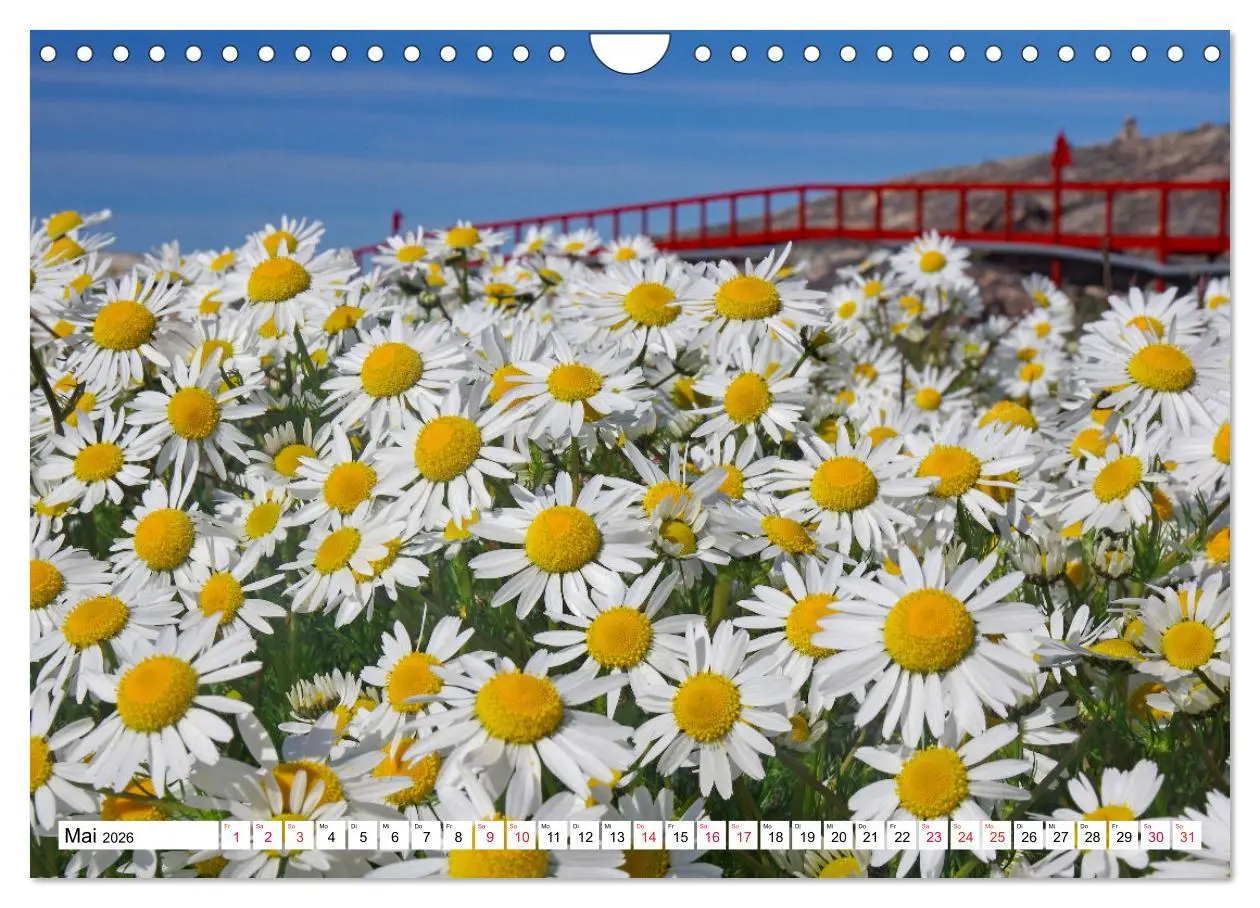 Bild: 9783457772980 | Grönland - Wildes, weites Land (Wandkalender 2026 DIN A4 quer),...