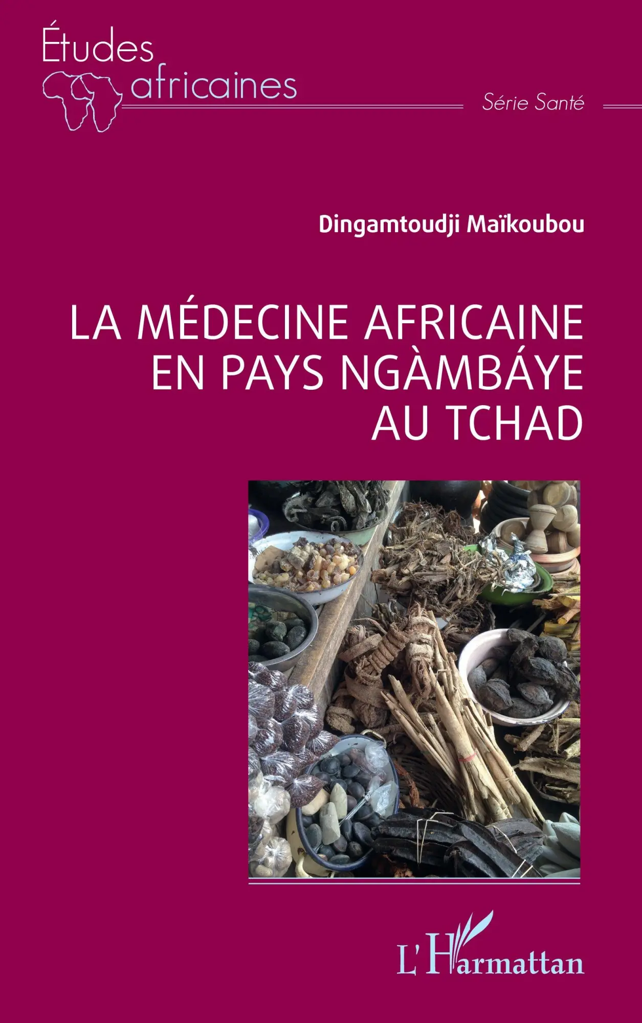 Cover: 9782336433080 | La médecine africaine en pays ngàmbáye au Tchad | Maïkoubou | Buch