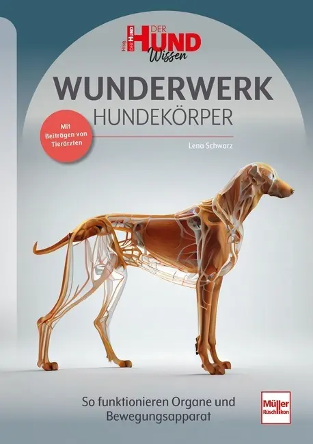 Cover: 9783275023080 | WUNDERWERK HUNDEKÖRPER | Lena Schwarz | Taschenbuch | DER HUND Wissen