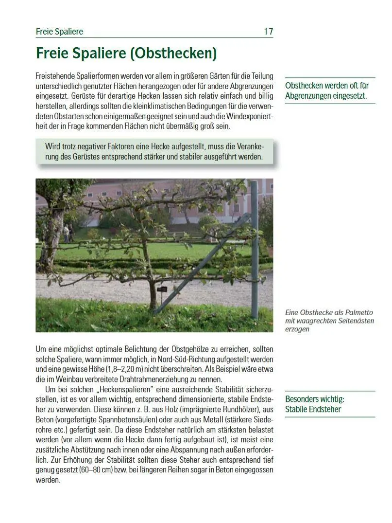 Bild: 9783702013080 | Spalierobst | für Mauer, Hecke, Pergola...Anlegen, Formen, Pflegen