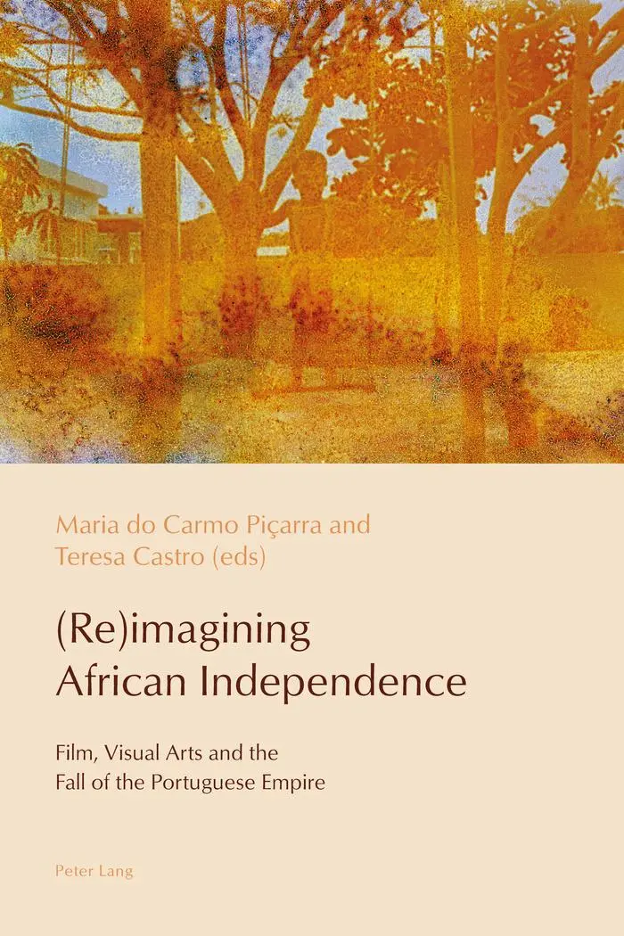 Cover: 9781787073180 | (Re)imagining African Independence | Teresa Castro (u. a.) | Buch