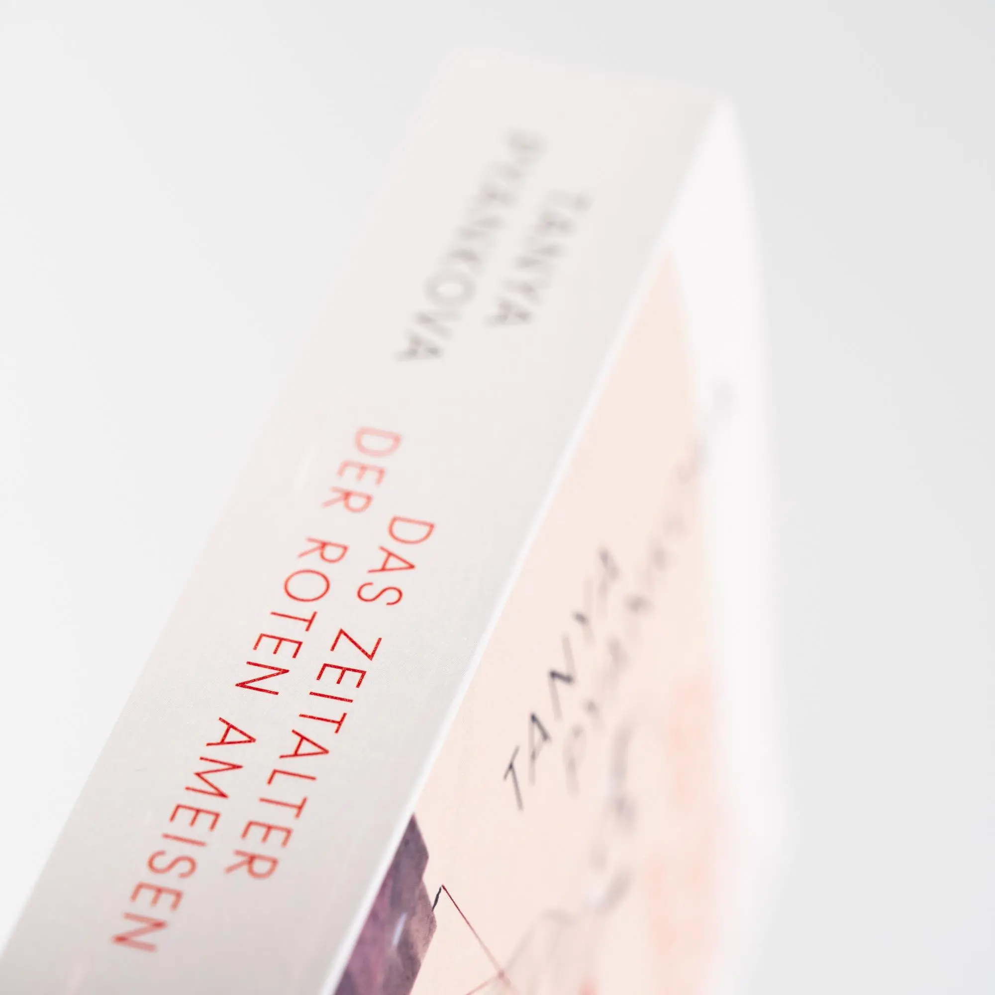 Bild: 9783312013180 | Das Zeitalter der Roten Ameisen | Tanya Pyankova | Taschenbuch | 2024