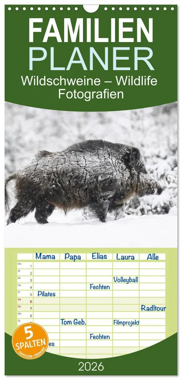 Cover: 9783516503180 | Familienplaner 2026 - Wildschweine - Wildlife Fotografien mit 5...