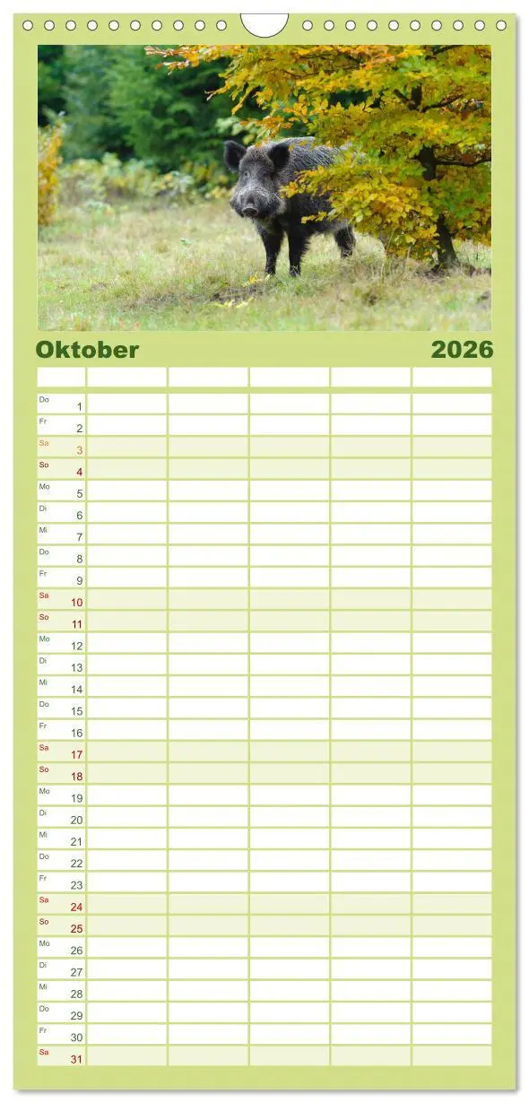 Bild: 9783516503180 | Familienplaner 2026 - Wildschweine - Wildlife Fotografien mit 5...