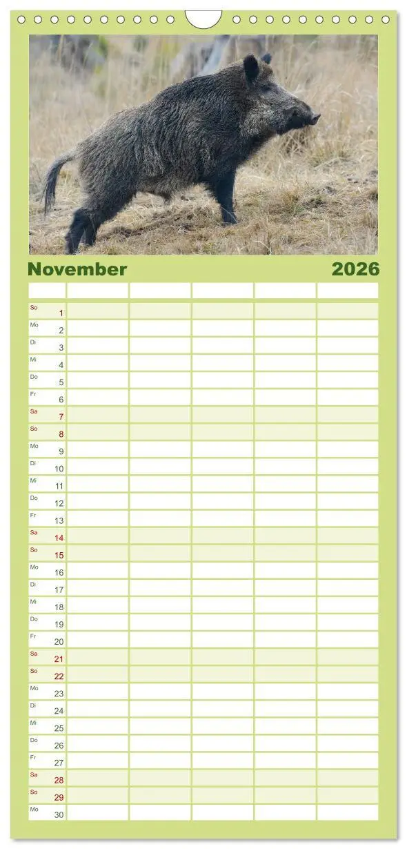 Bild: 9783516503180 | Familienplaner 2026 - Wildschweine - Wildlife Fotografien mit 5...