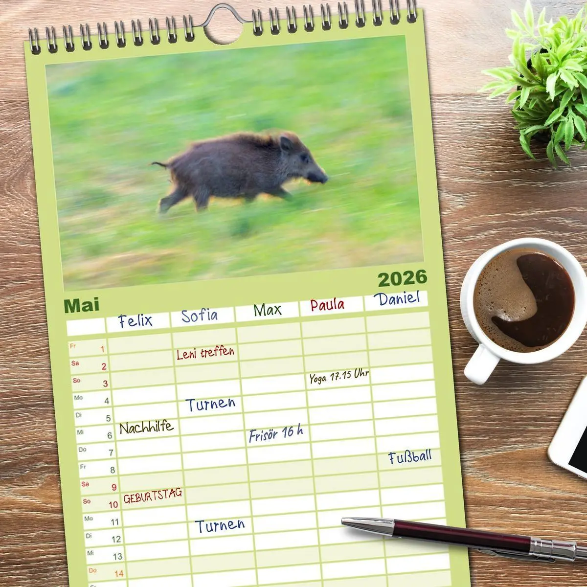 Bild: 9783516503180 | Familienplaner 2026 - Wildschweine - Wildlife Fotografien mit 5...