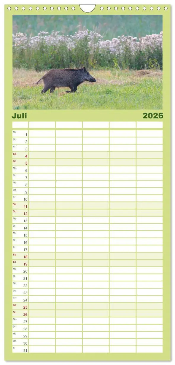 Bild: 9783516503180 | Familienplaner 2026 - Wildschweine - Wildlife Fotografien mit 5...
