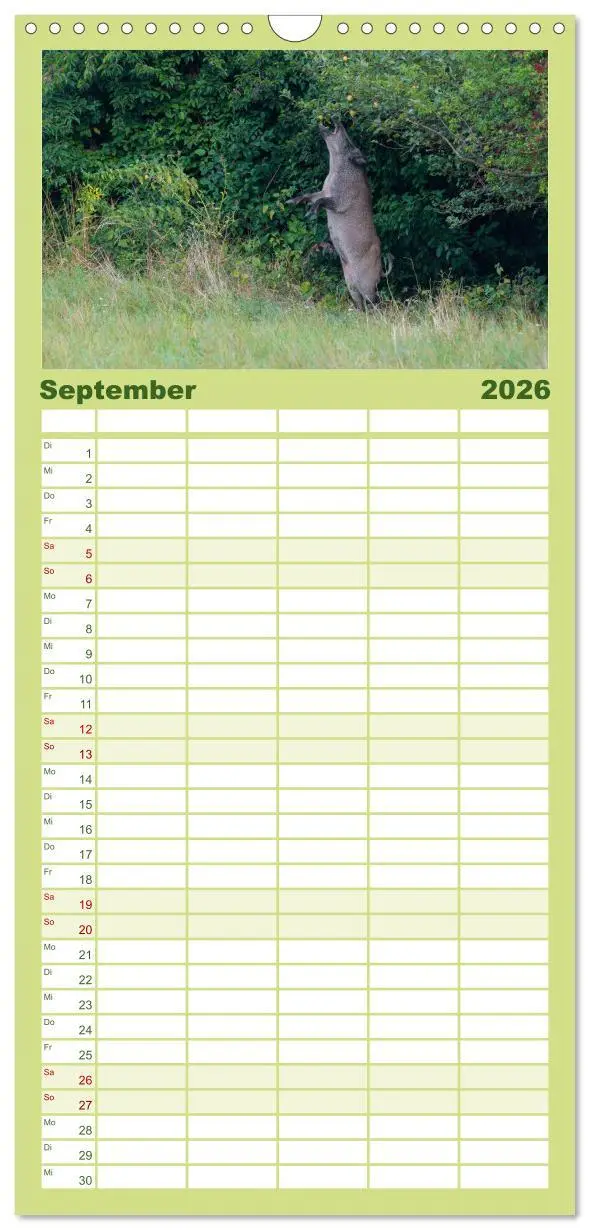 Bild: 9783516503180 | Familienplaner 2026 - Wildschweine - Wildlife Fotografien mit 5...