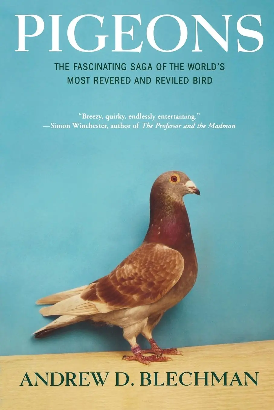Cover: 9780802143280 | Pigeons | Andrew D Blechman | Taschenbuch | Kartoniert / Broschiert
