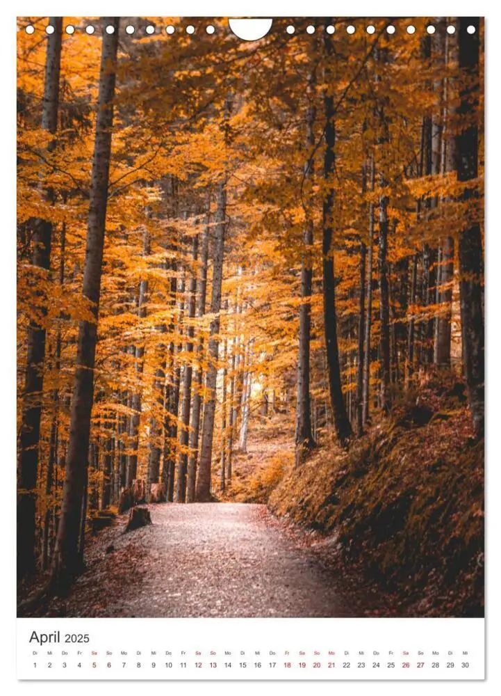 Bild: 9783435933280 | Herbstliches Allgäu (Wandkalender 2025 DIN A4 hoch), CALVENDO...