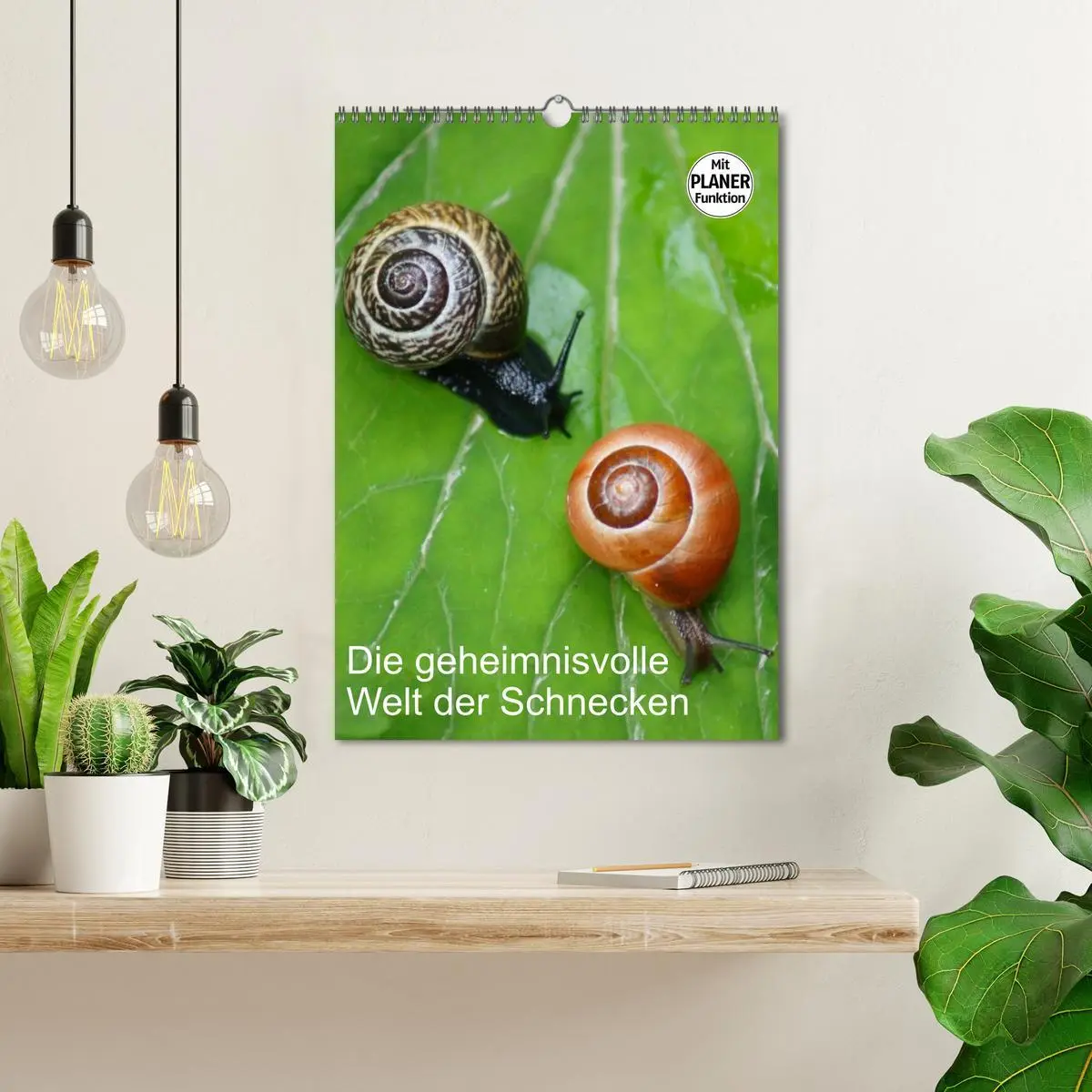 Bild: 9783516423280 | Die geheimnisvolle Welt der Schnecken (Wandkalender 2026 DIN A3...