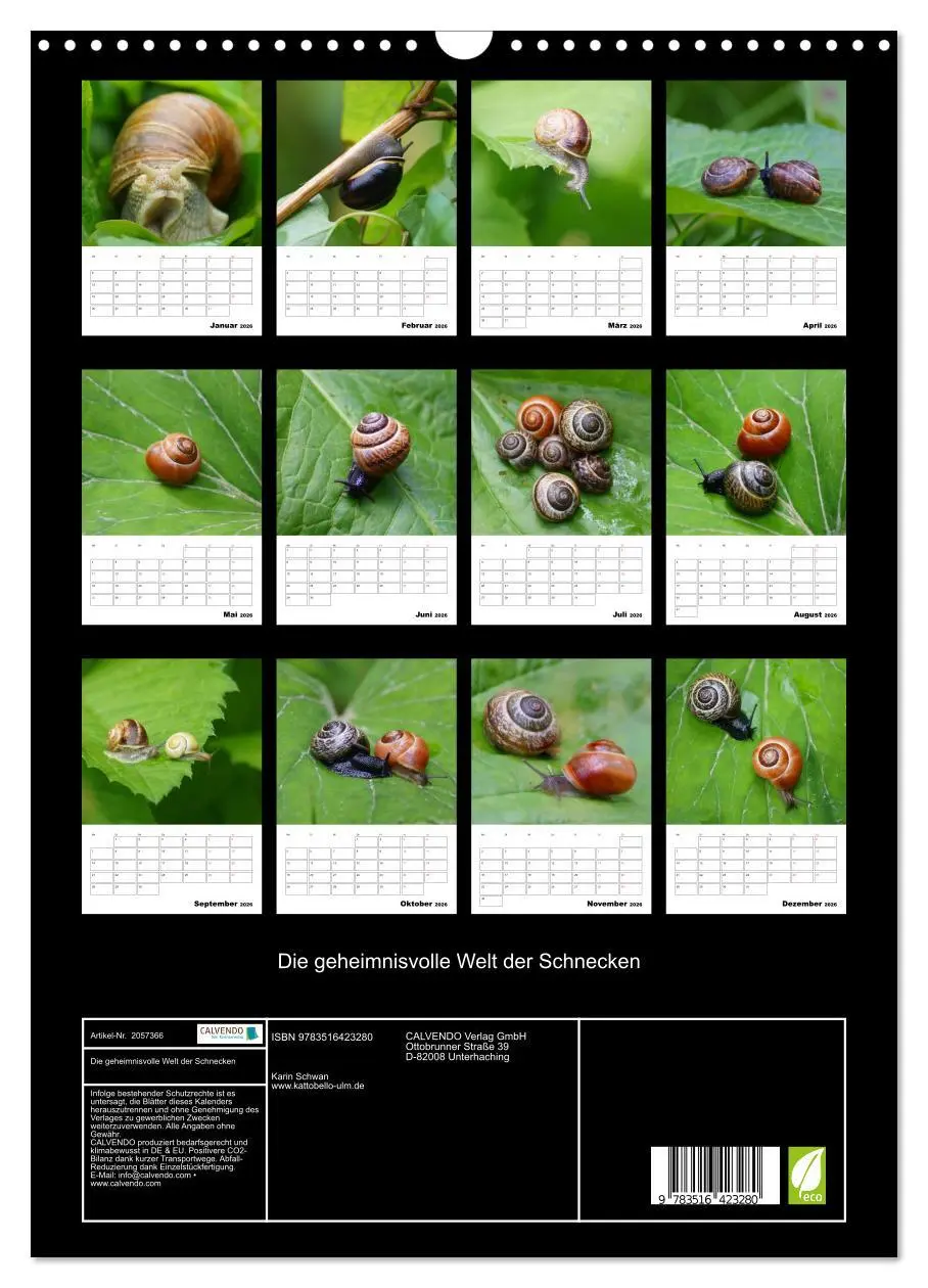 Bild: 9783516423280 | Die geheimnisvolle Welt der Schnecken (Wandkalender 2026 DIN A3...