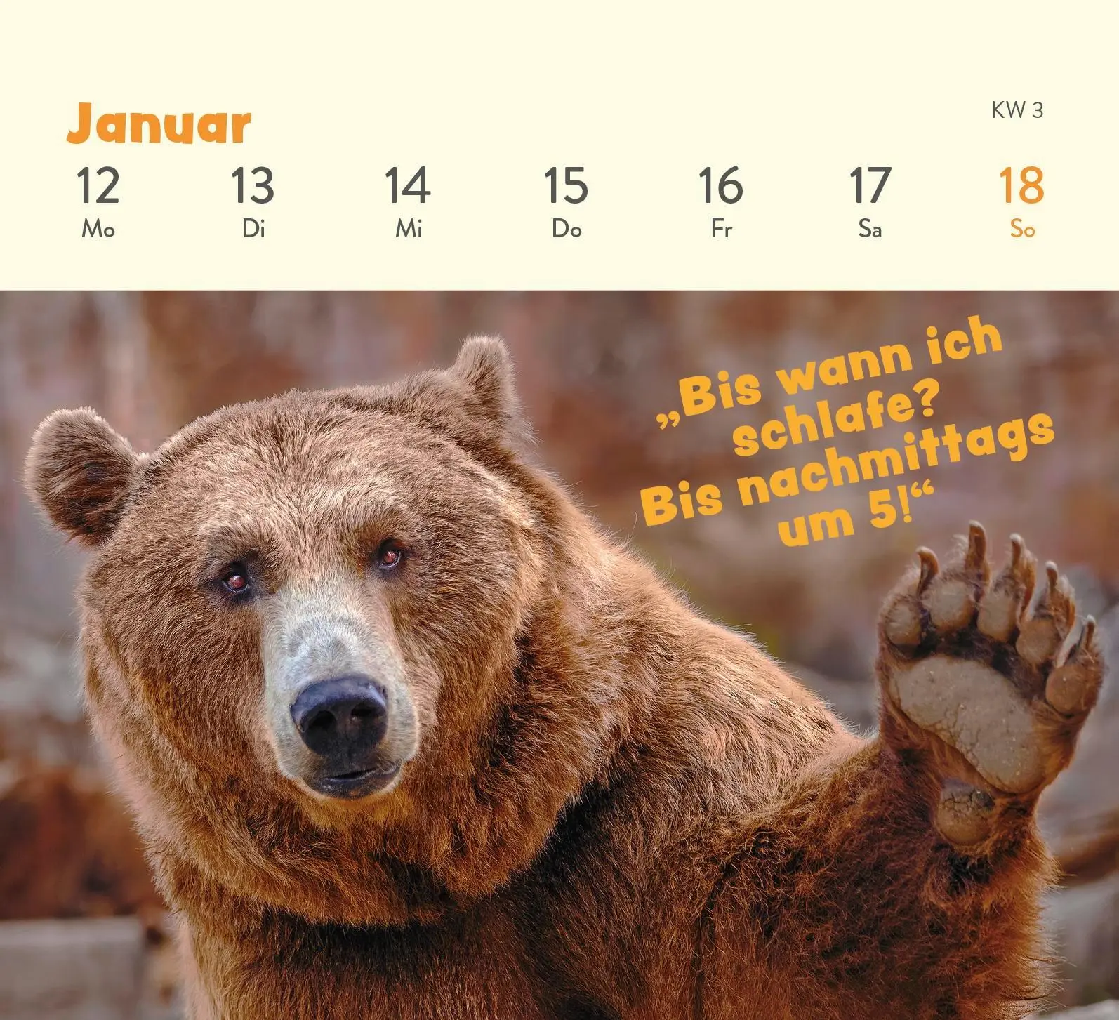Bild: 4036442013380 | Mini-Wochenkalender 2026: Tierisch gechillt! | Paulus Vennebusch