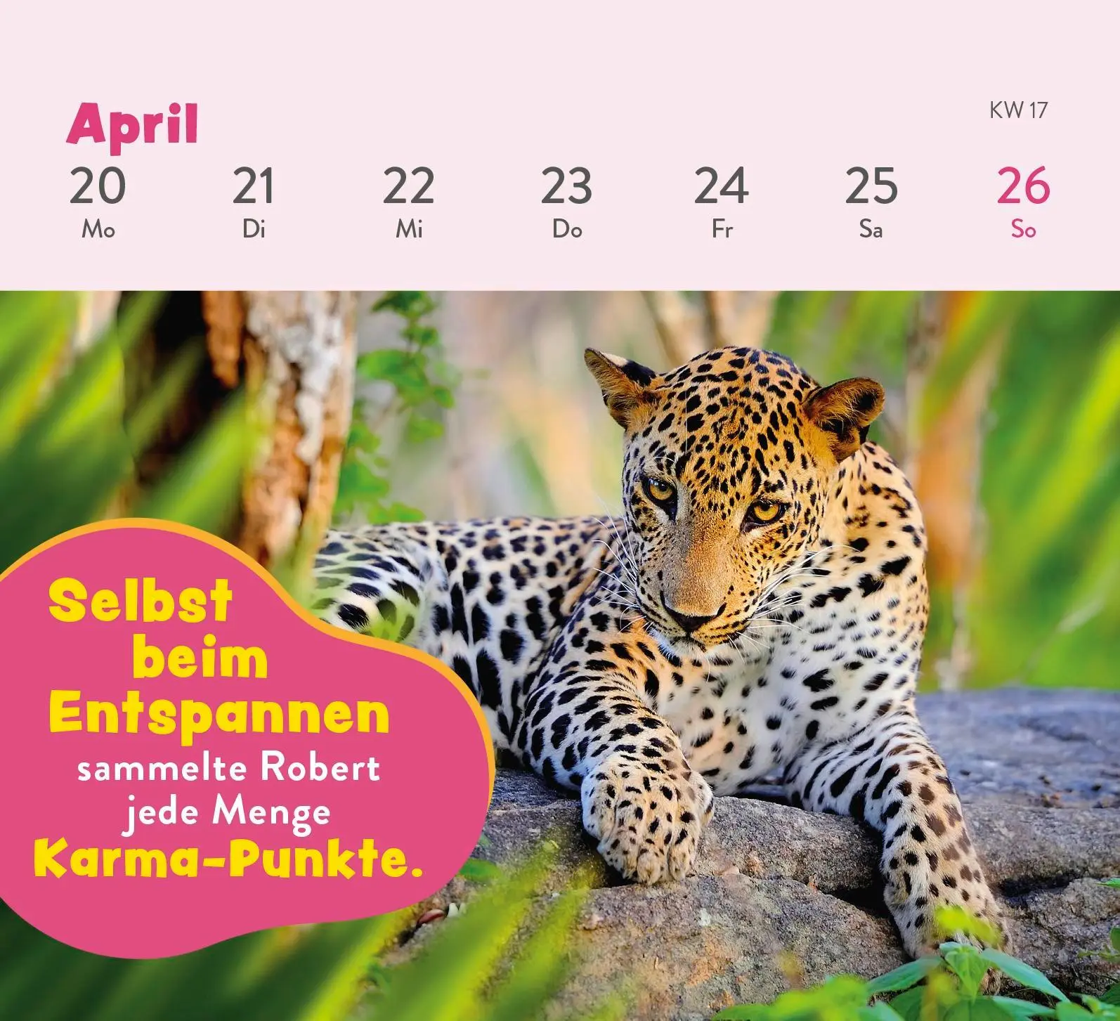 Bild: 4036442013380 | Mini-Wochenkalender 2026: Tierisch gechillt! | Paulus Vennebusch