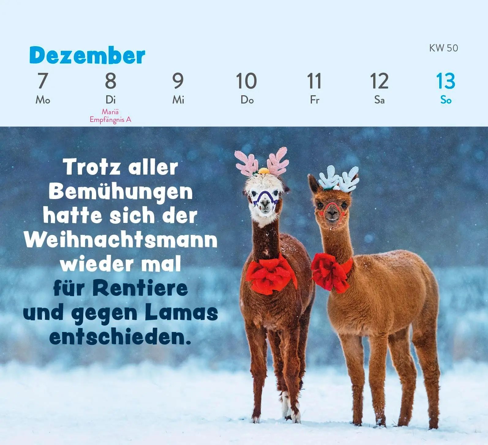 Bild: 4036442013380 | Mini-Wochenkalender 2026: Tierisch gechillt! | Paulus Vennebusch