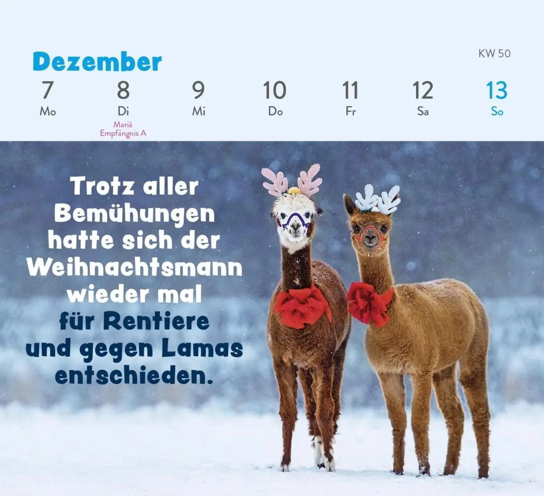 Bild: 4036442013380 | Mini-Wochenkalender 2026: Tierisch gechillt! | Paulus Vennebusch