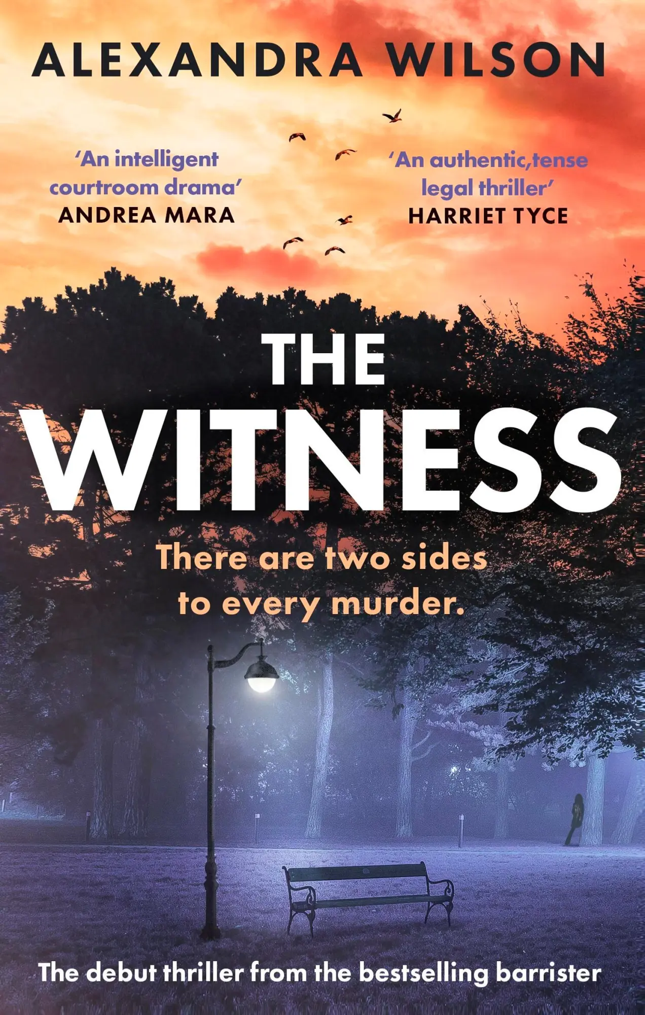 Cover: 9780751583380 | The Witness | Thriller | Alexandra Wilson | Taschenbuch | Englisch