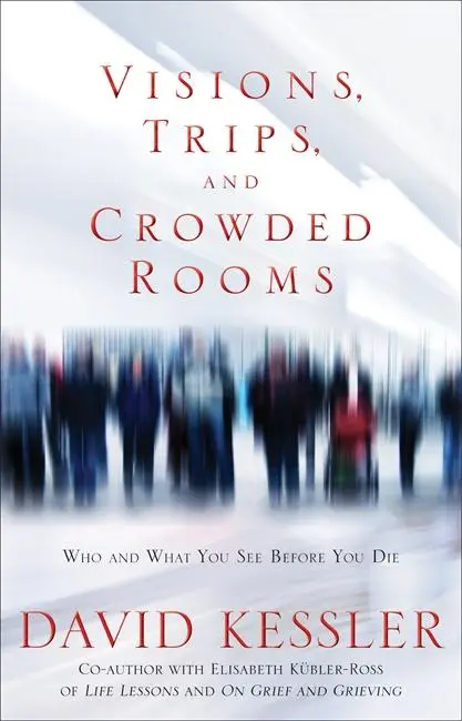 Cover: 9781848503380 | Visions, Trips, and Crowded Rooms | David Kessler | Taschenbuch | 2011