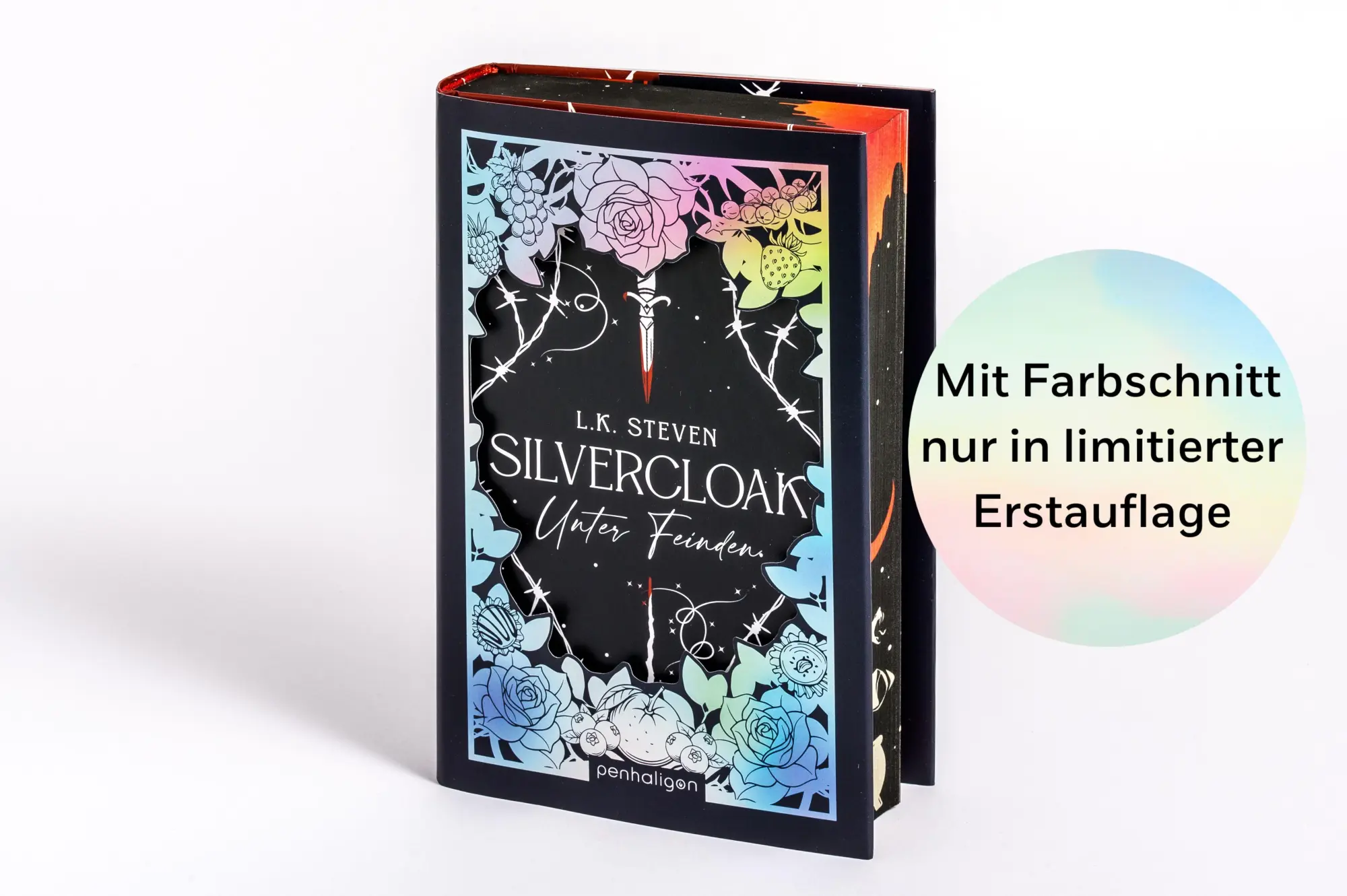 Bild: 9783764533380 | Silvercloak - Unter Feinden | L. K. Steven | Buch | 624 S. | Deutsch
