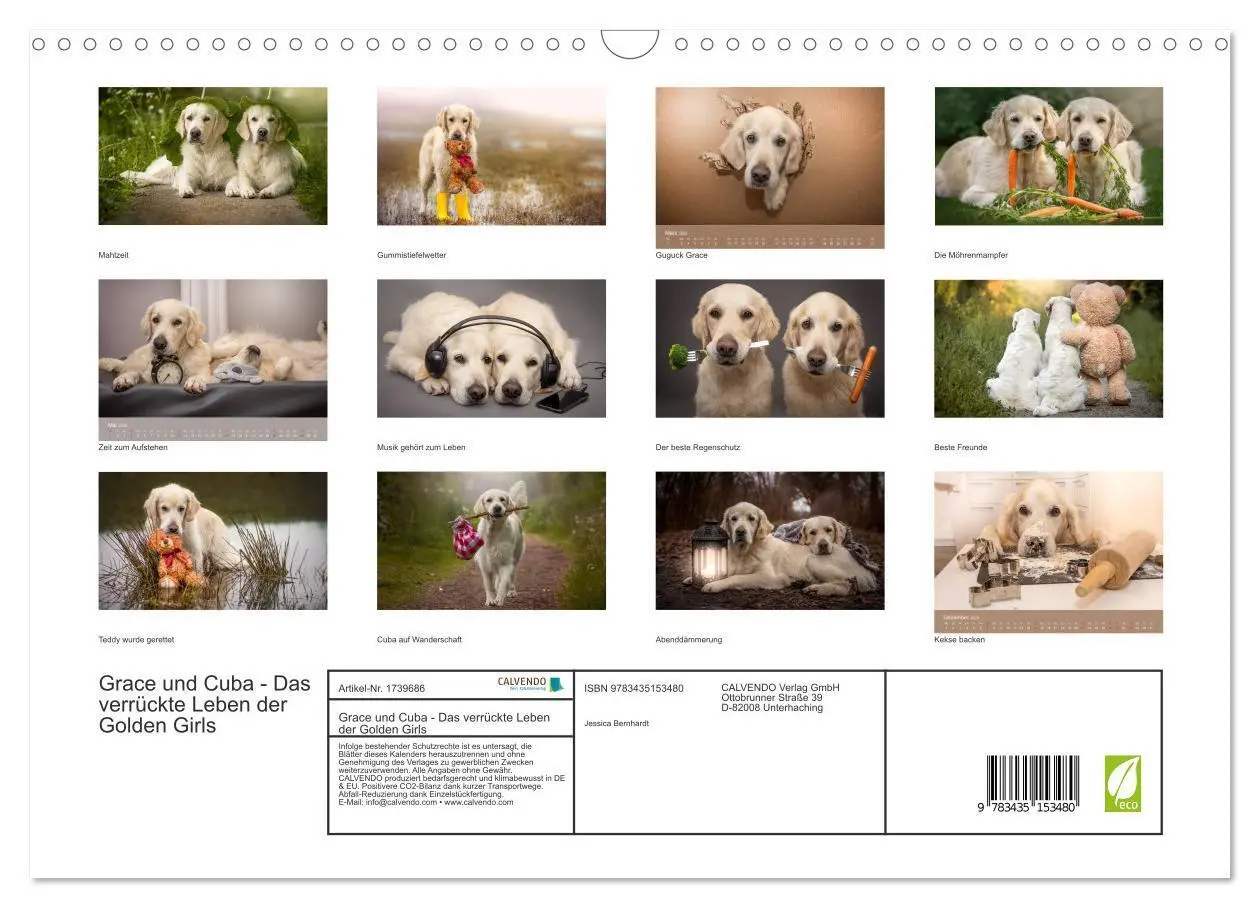 Bild: 9783435153480 | Grace und Cuba - Das verrückte Leben der Golden Girls (Wandkalender...