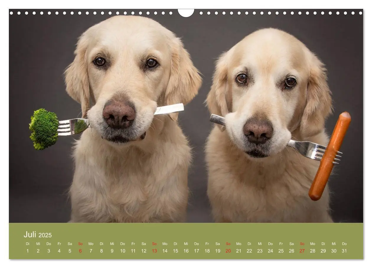 Bild: 9783435153480 | Grace und Cuba - Das verrückte Leben der Golden Girls (Wandkalender...