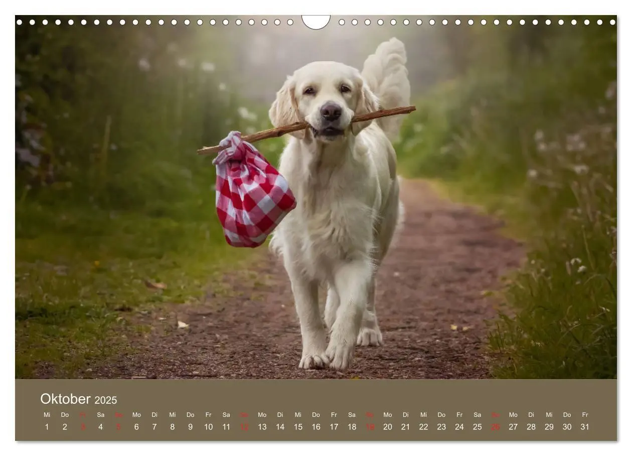 Bild: 9783435153480 | Grace und Cuba - Das verrückte Leben der Golden Girls (Wandkalender...