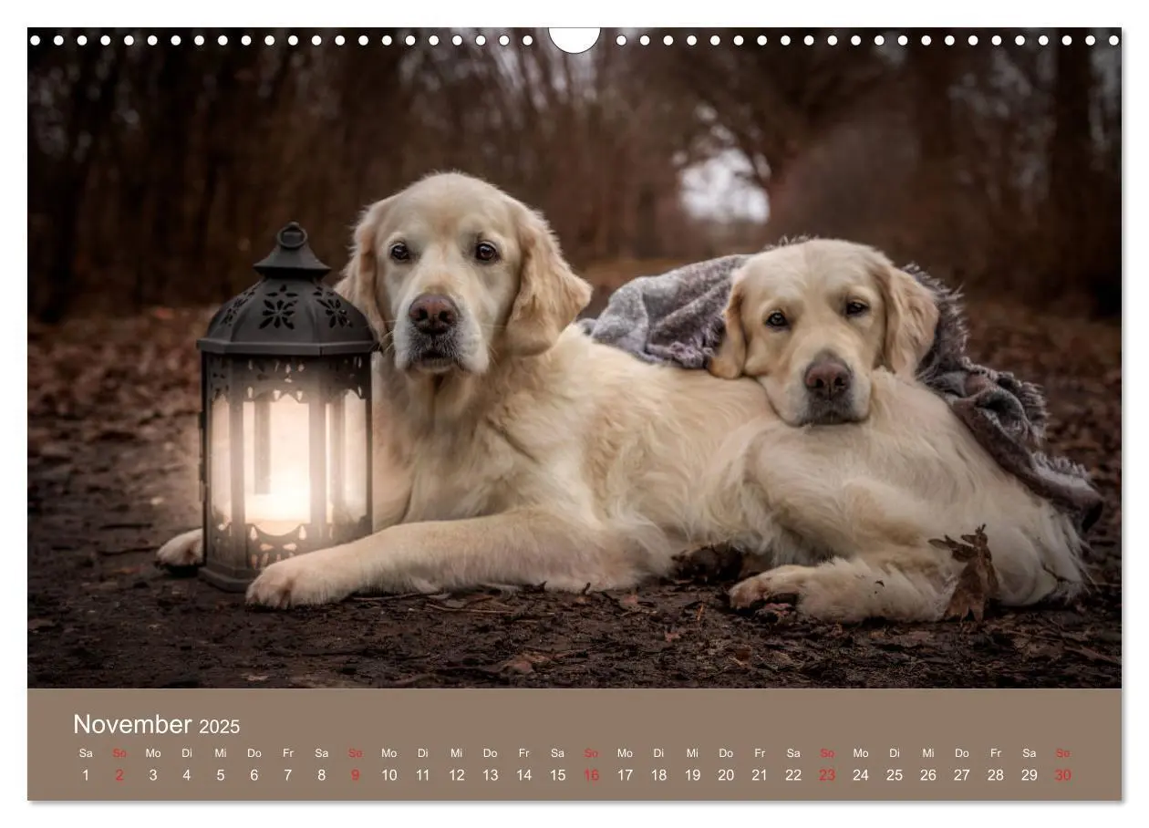 Bild: 9783435153480 | Grace und Cuba - Das verrückte Leben der Golden Girls (Wandkalender...