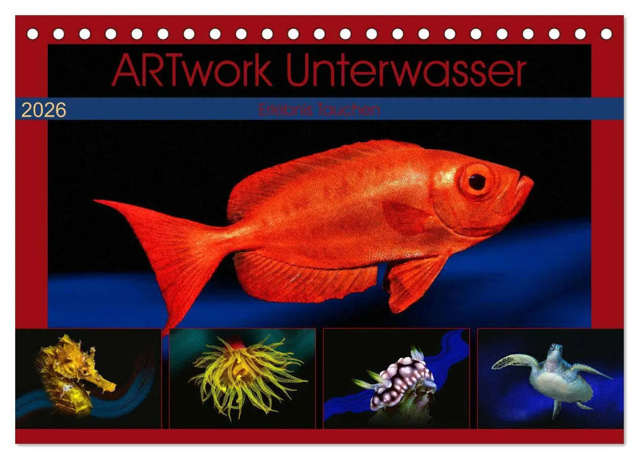 Cover: 9783457863480 | Artwork Unterwasser - Erlebnis Tauchen (Tischkalender 2026 DIN A5...