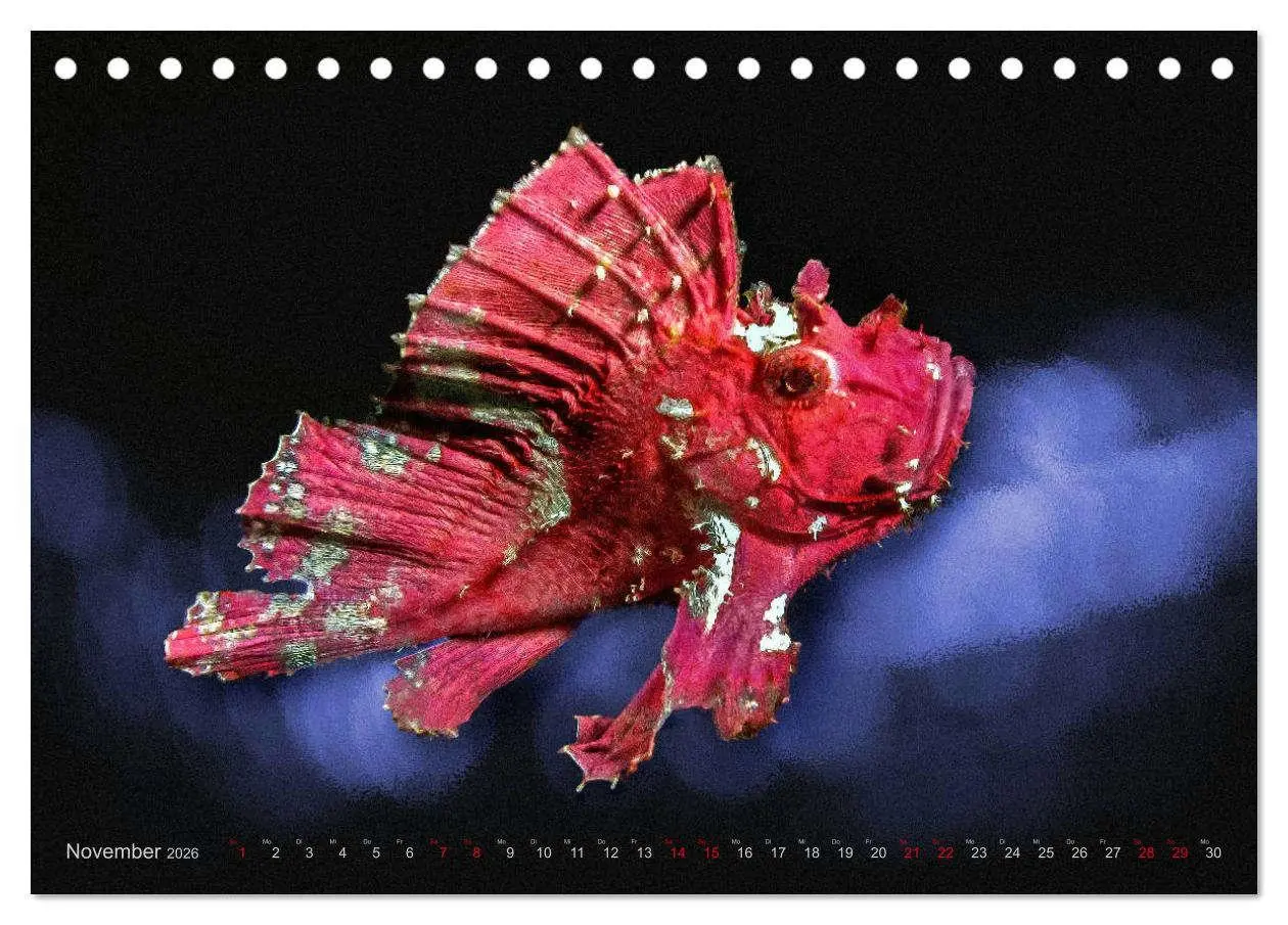 Bild: 9783457863480 | Artwork Unterwasser - Erlebnis Tauchen (Tischkalender 2026 DIN A5...