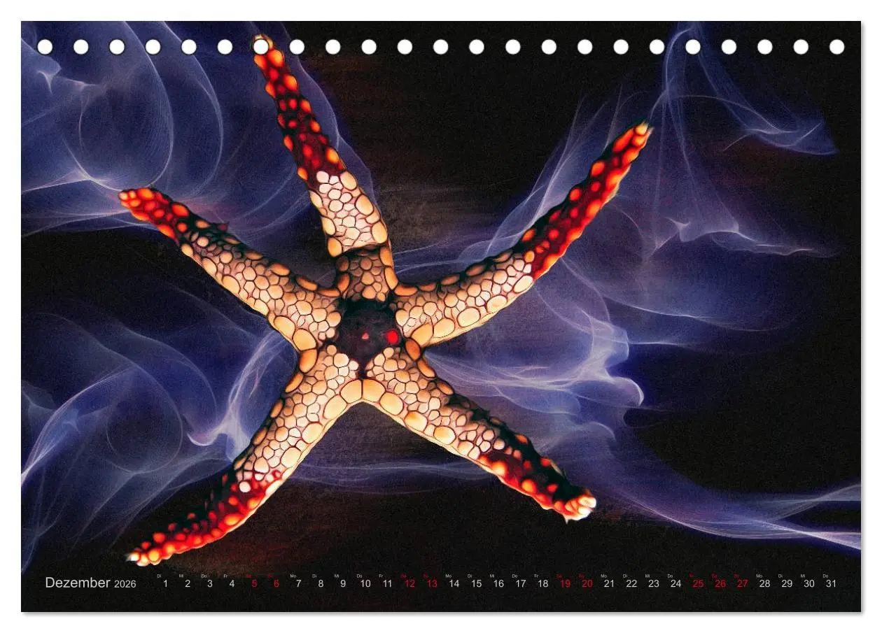 Bild: 9783457863480 | Artwork Unterwasser - Erlebnis Tauchen (Tischkalender 2026 DIN A5...