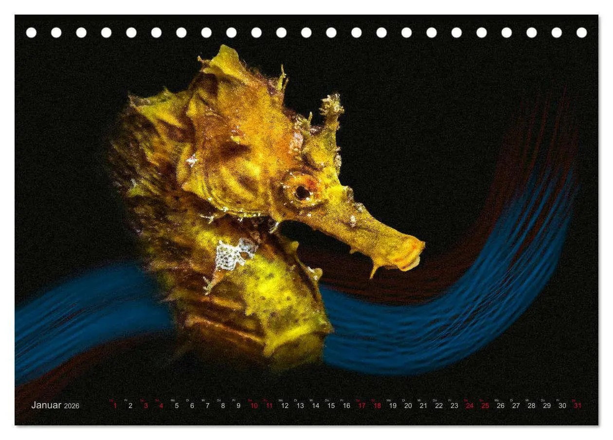 Bild: 9783457863480 | Artwork Unterwasser - Erlebnis Tauchen (Tischkalender 2026 DIN A5...