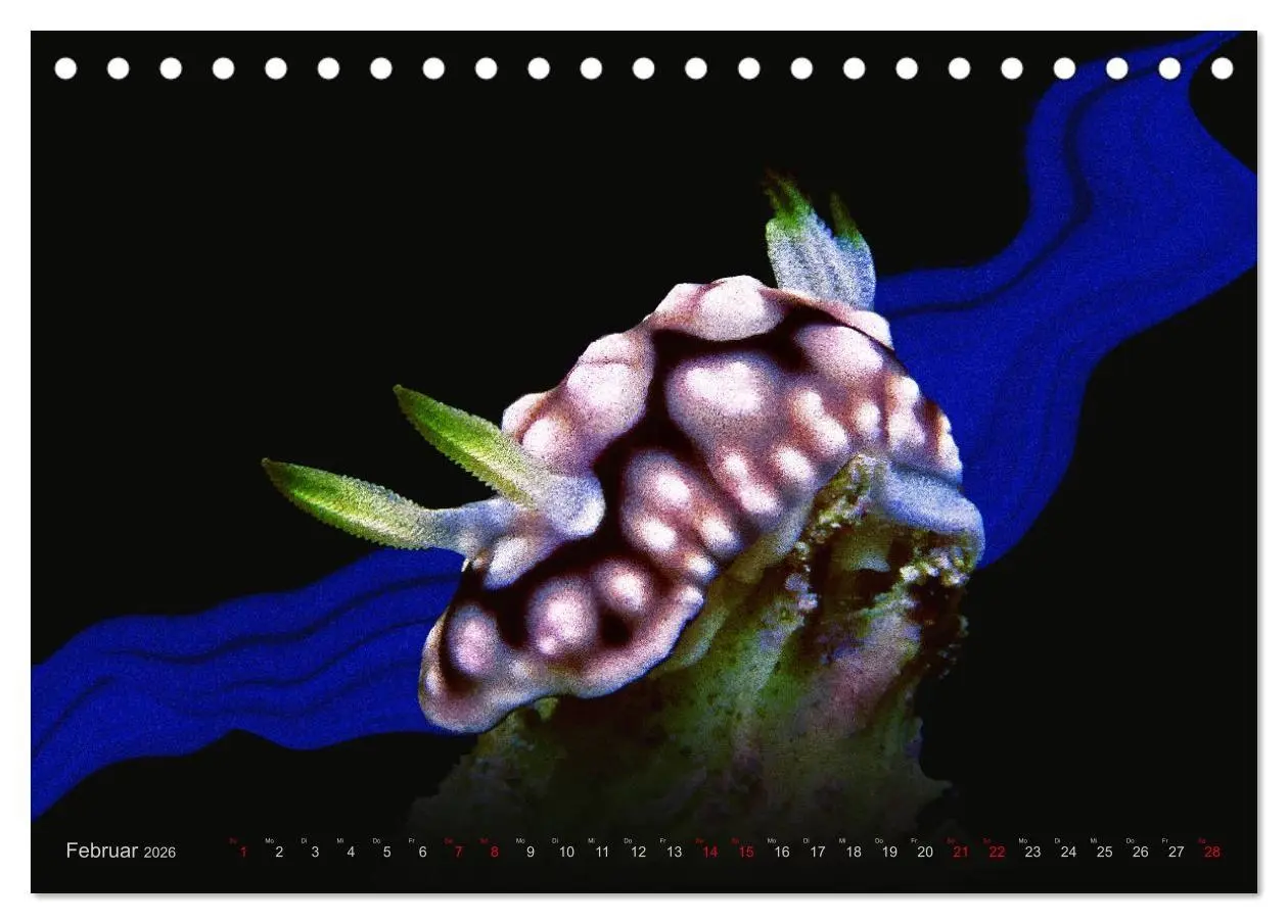 Bild: 9783457863480 | Artwork Unterwasser - Erlebnis Tauchen (Tischkalender 2026 DIN A5...