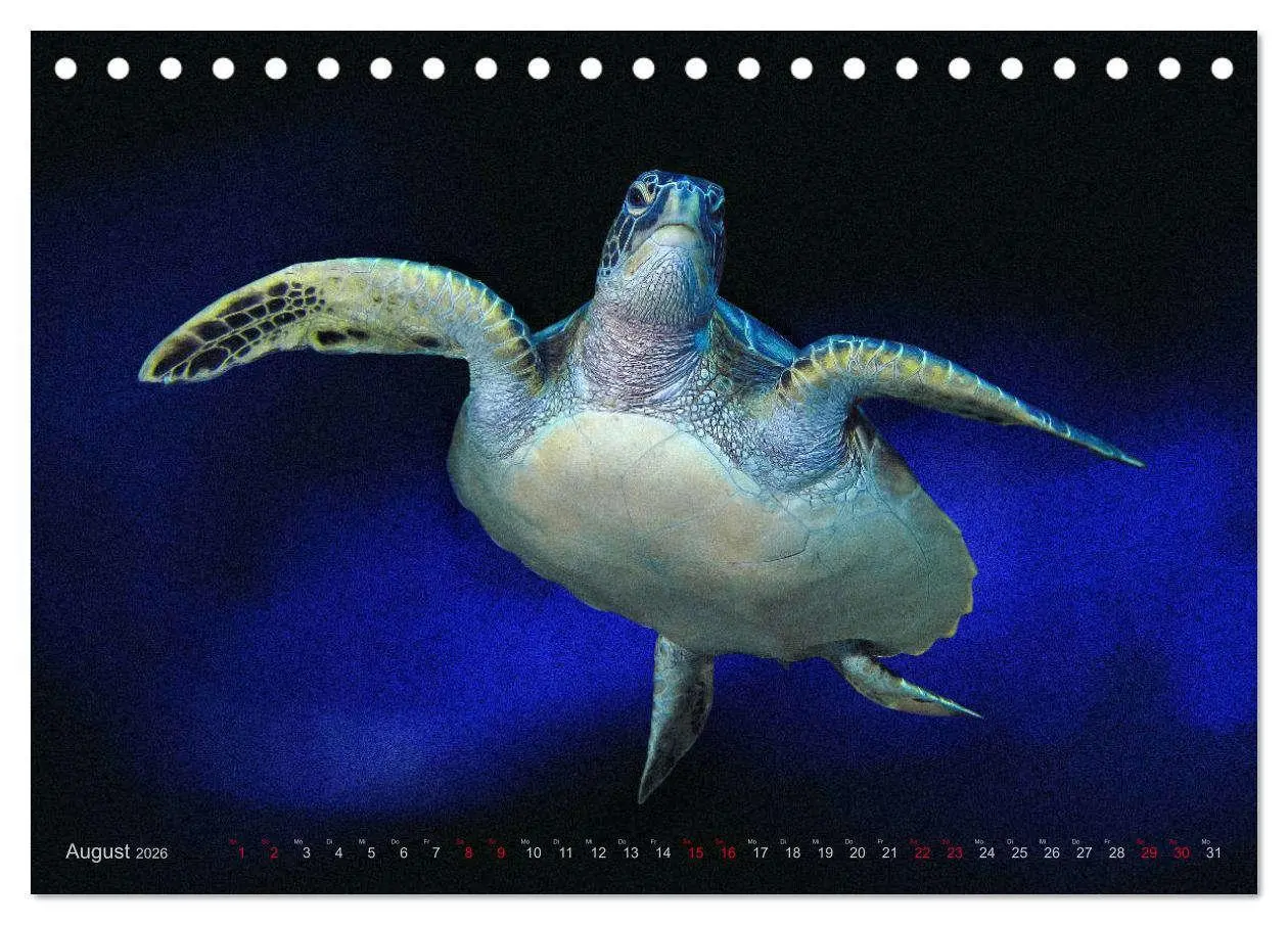 Bild: 9783457863480 | Artwork Unterwasser - Erlebnis Tauchen (Tischkalender 2026 DIN A5...